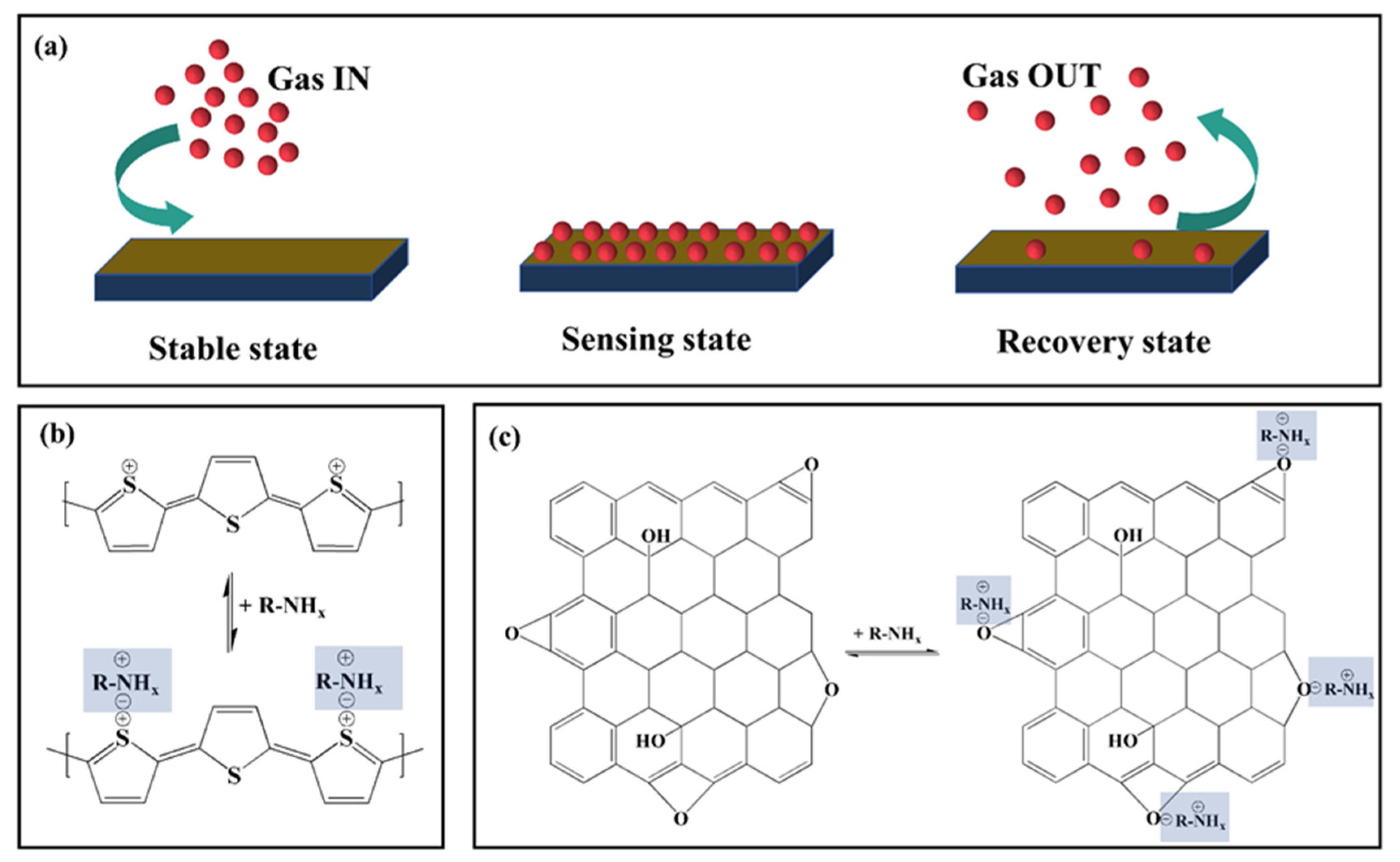 Chemosensors 11 00042 g007 Chemosensors 11 00042 g007