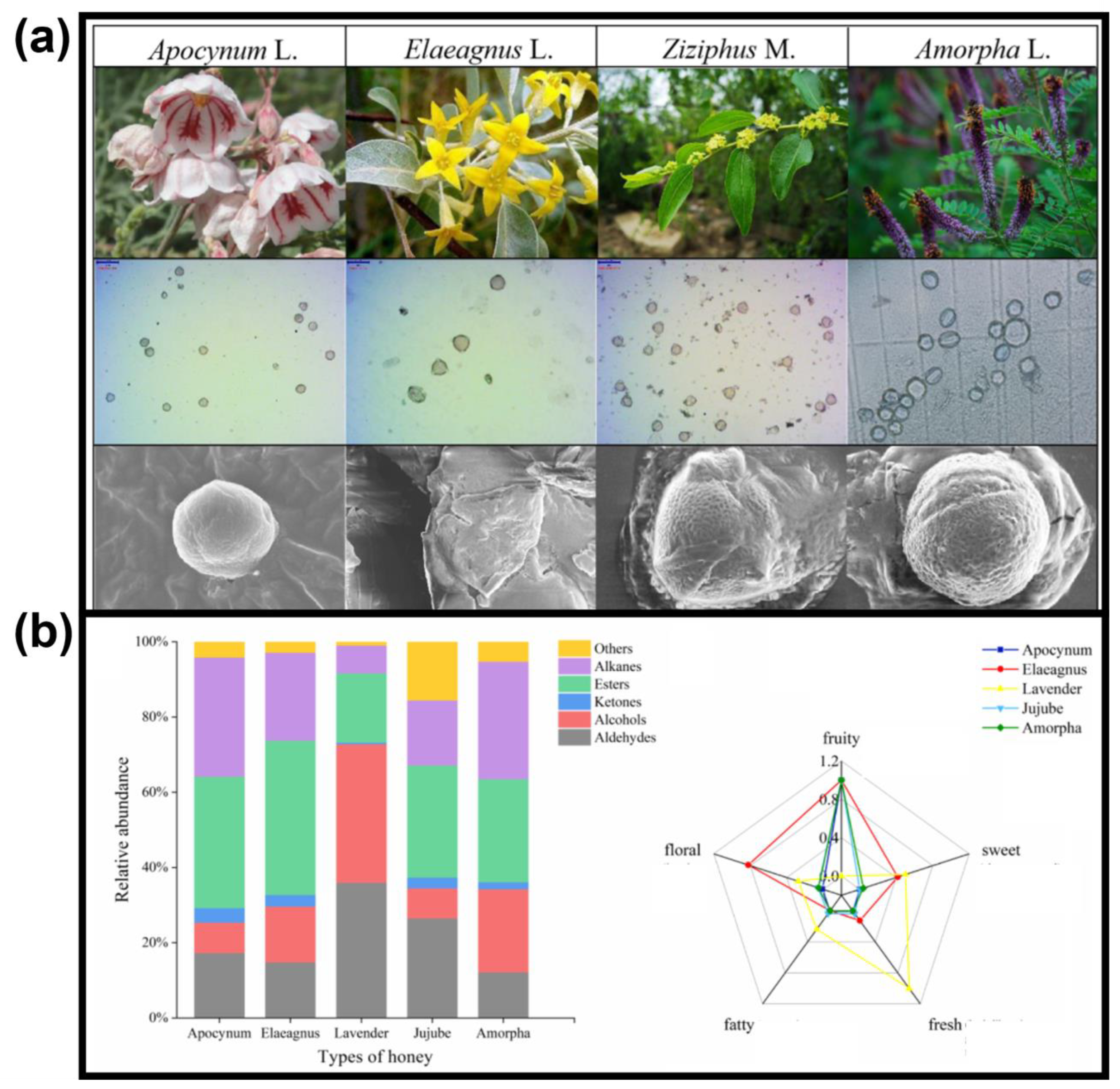 Chemosensors 11 00045 g001 Chemosensors 11 00045 g001