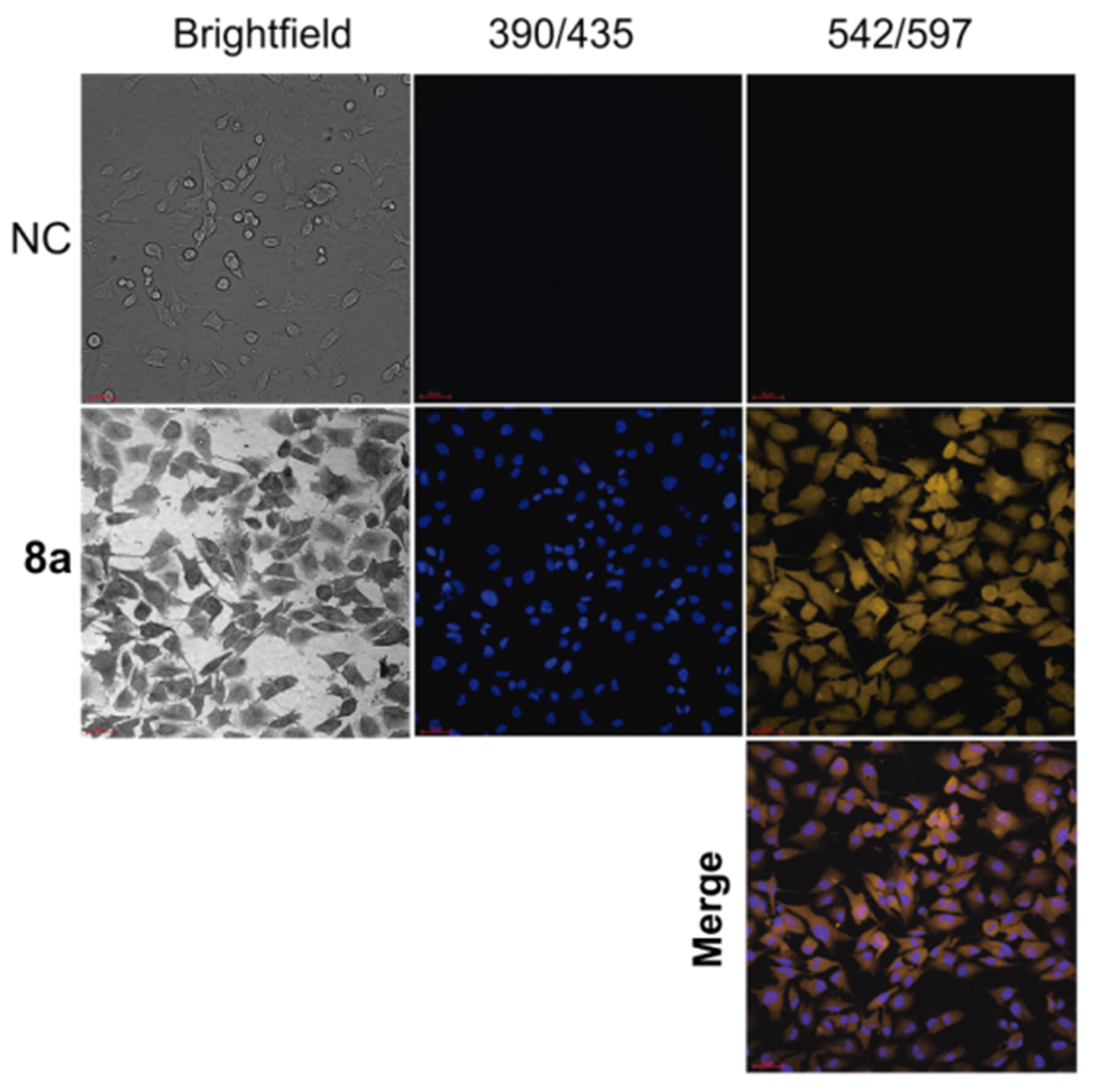 Chemosensors 11 00047 g009
