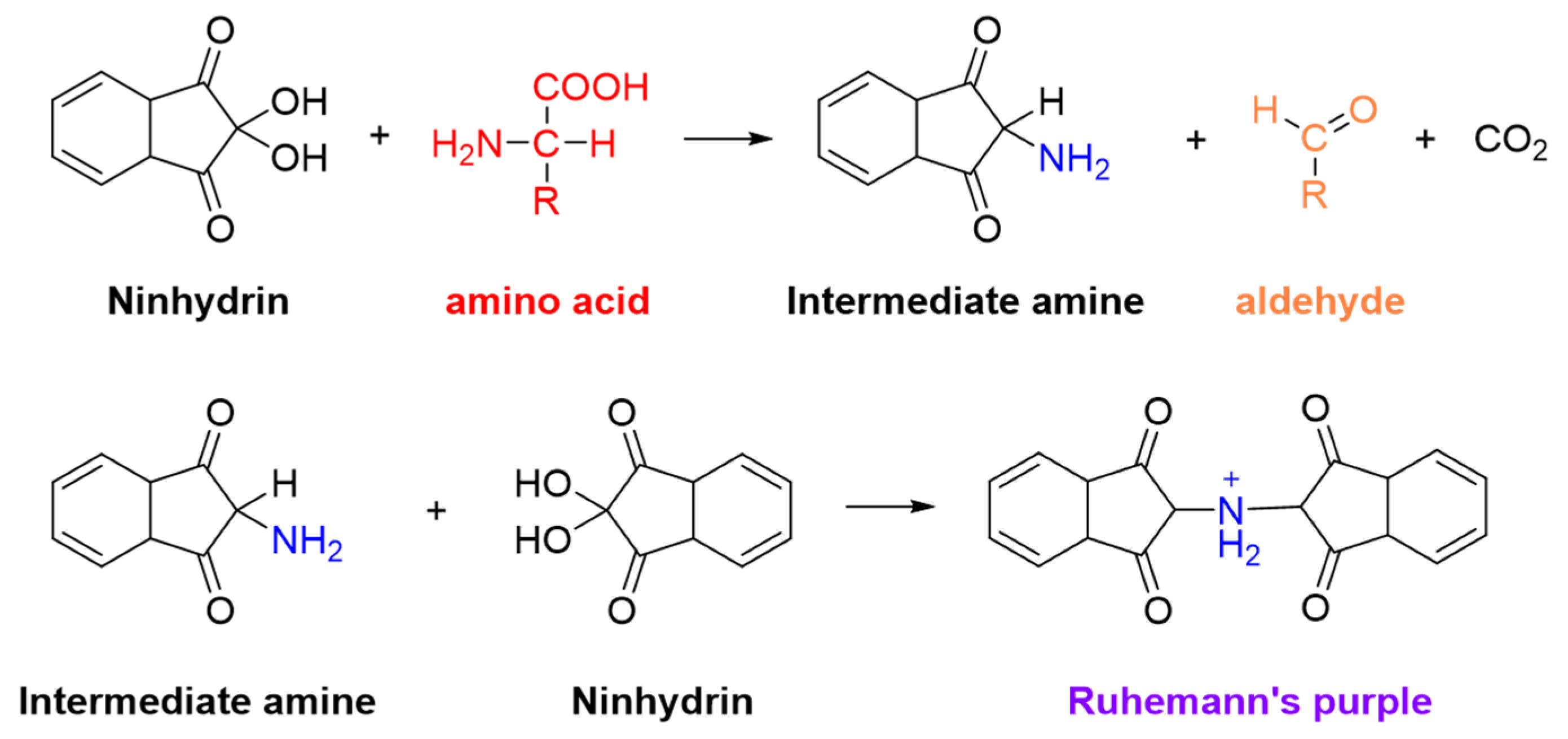 Ninhydrin Reaction mechanism. Нингидрин с аминокислотами. Лизин + нингидрин реакция. Аланин и нингидрин реакция.