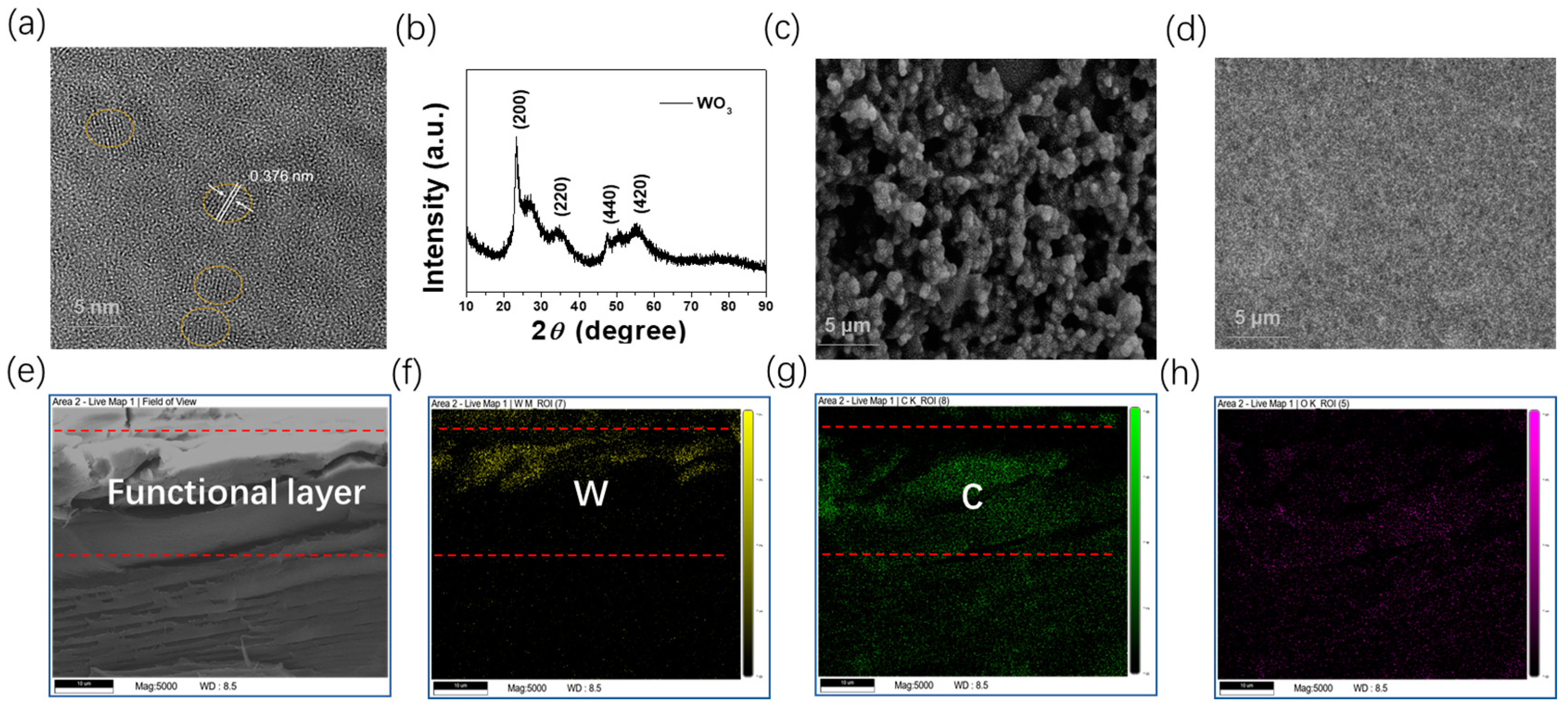 Chemosensors 11 00054 g002 Chemosensors 11 00054 g002