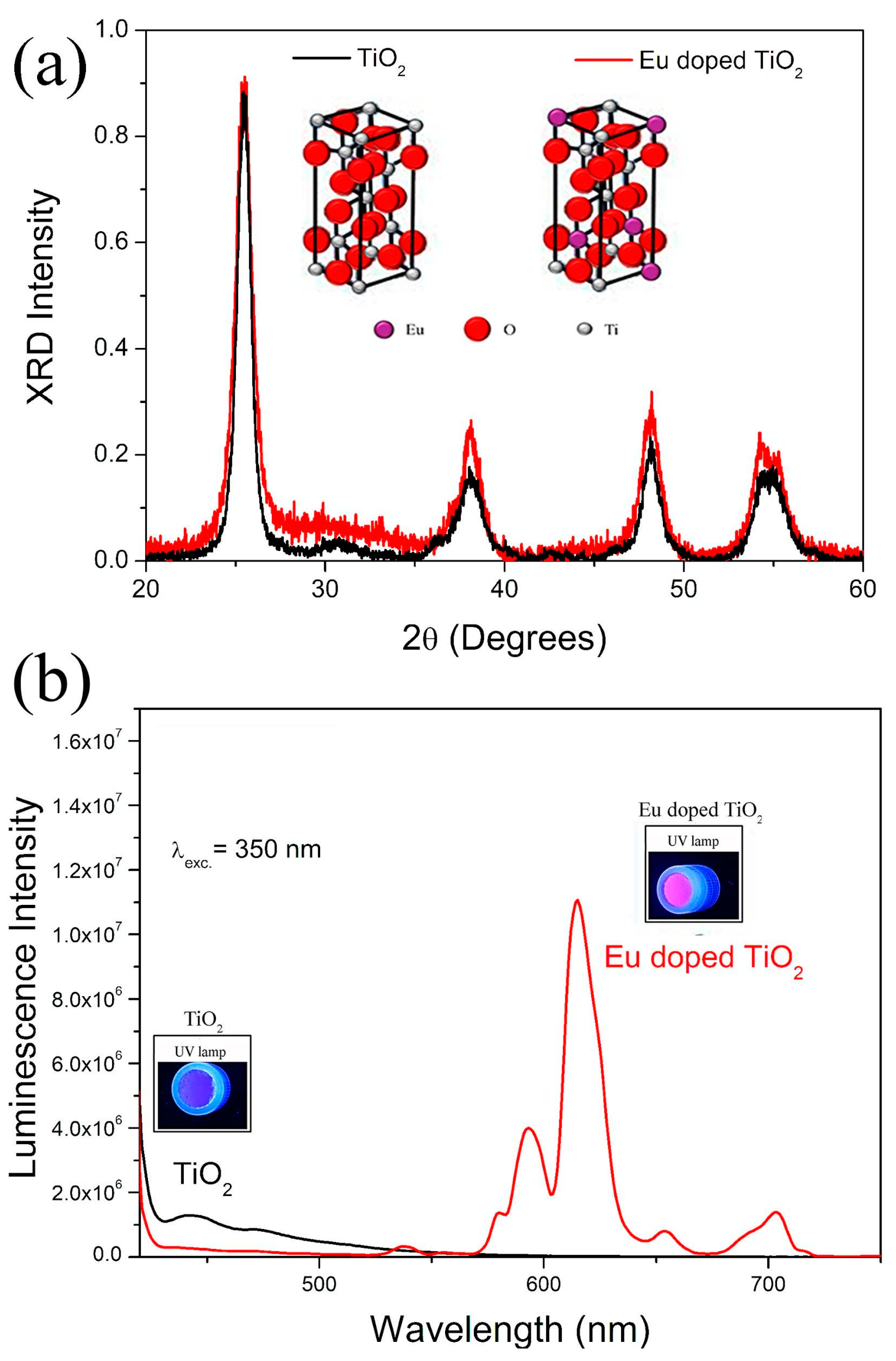 Chemosensors 11 00055 g001