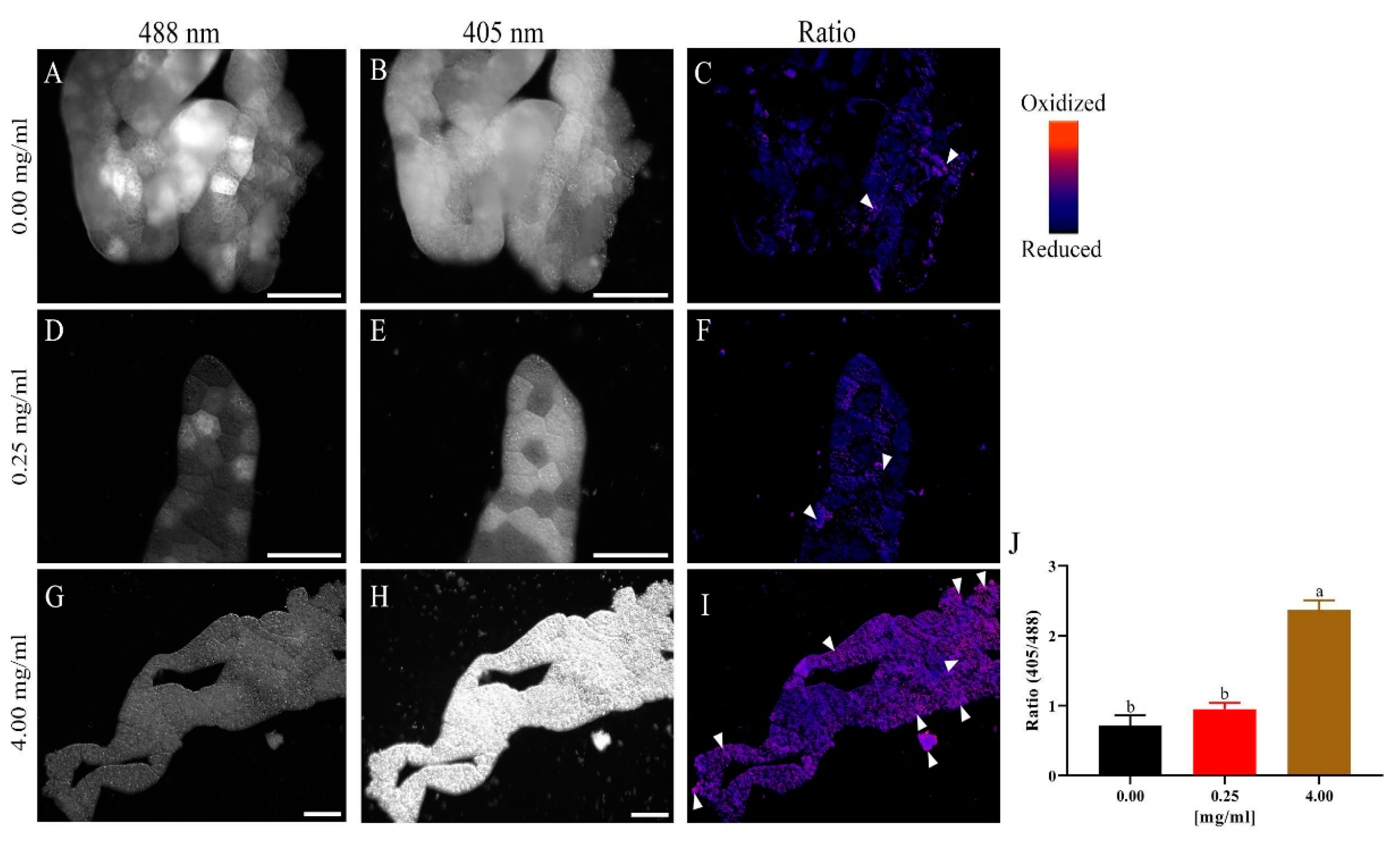 Chemosensors 11 00055 g007