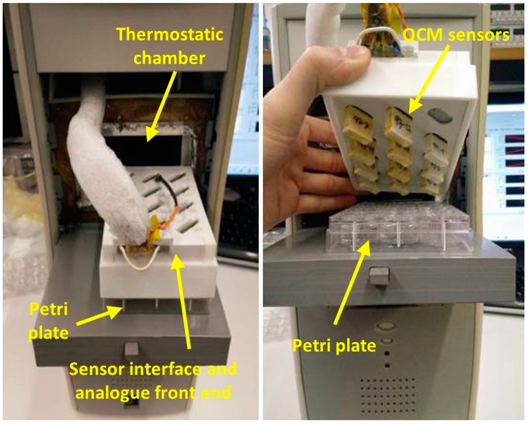 Chemosensors 11 00068 g003 Chemosensors 11 00068 g003