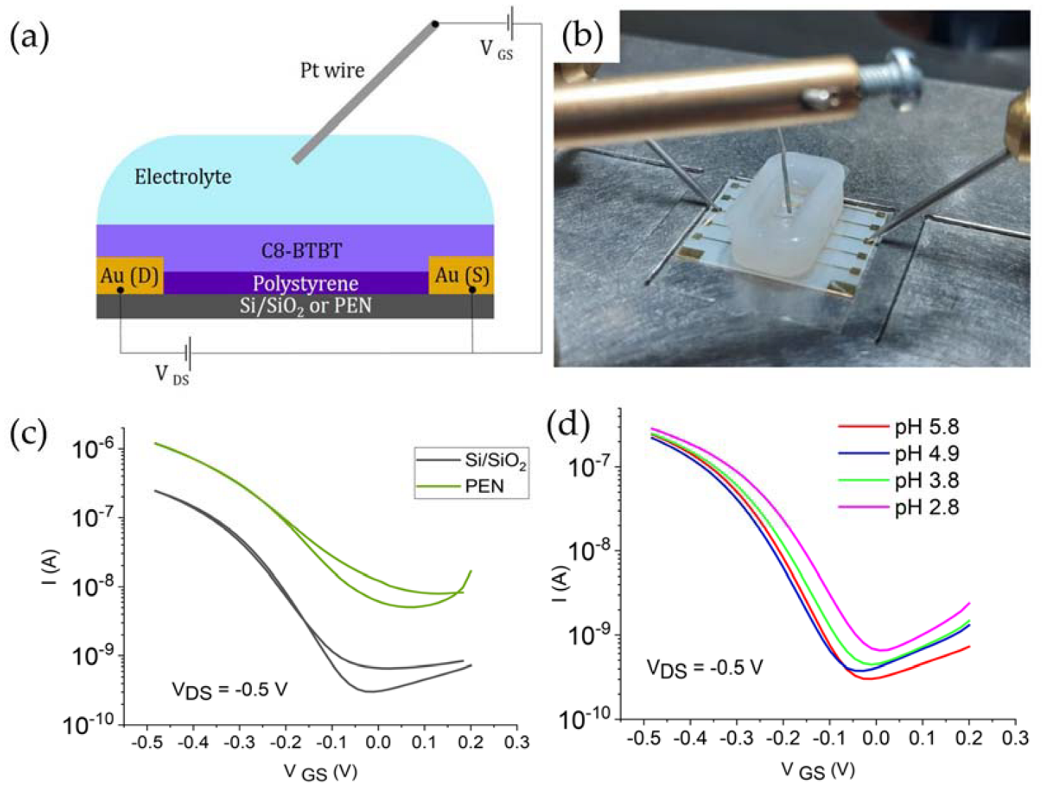 Chemosensors 11 00074 g001