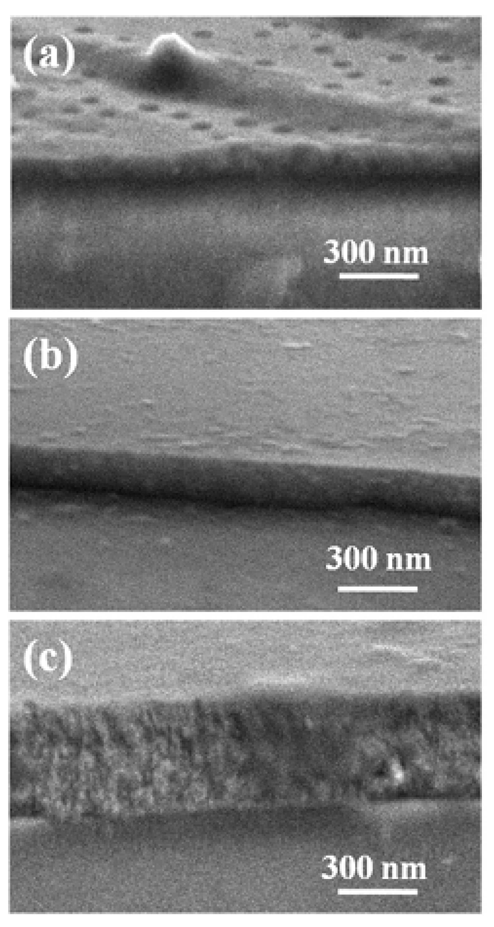 Chemosensors 11 00095 g018 Chemosensors 11 00095 g018