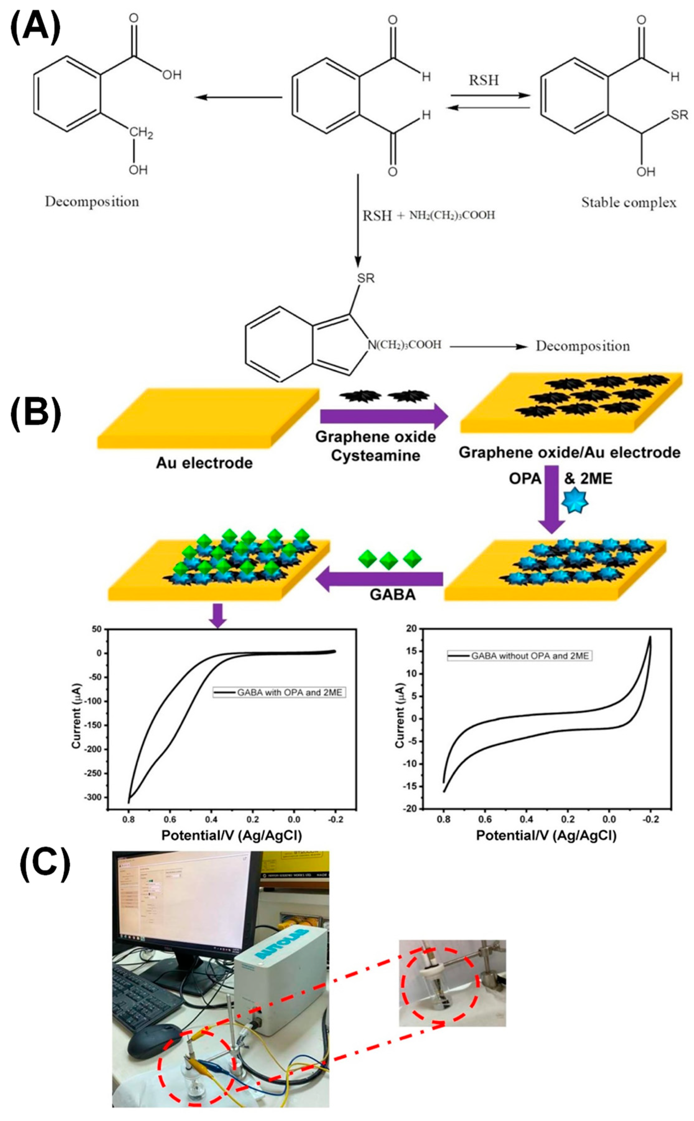 Chemosensors 11 00103 g003
