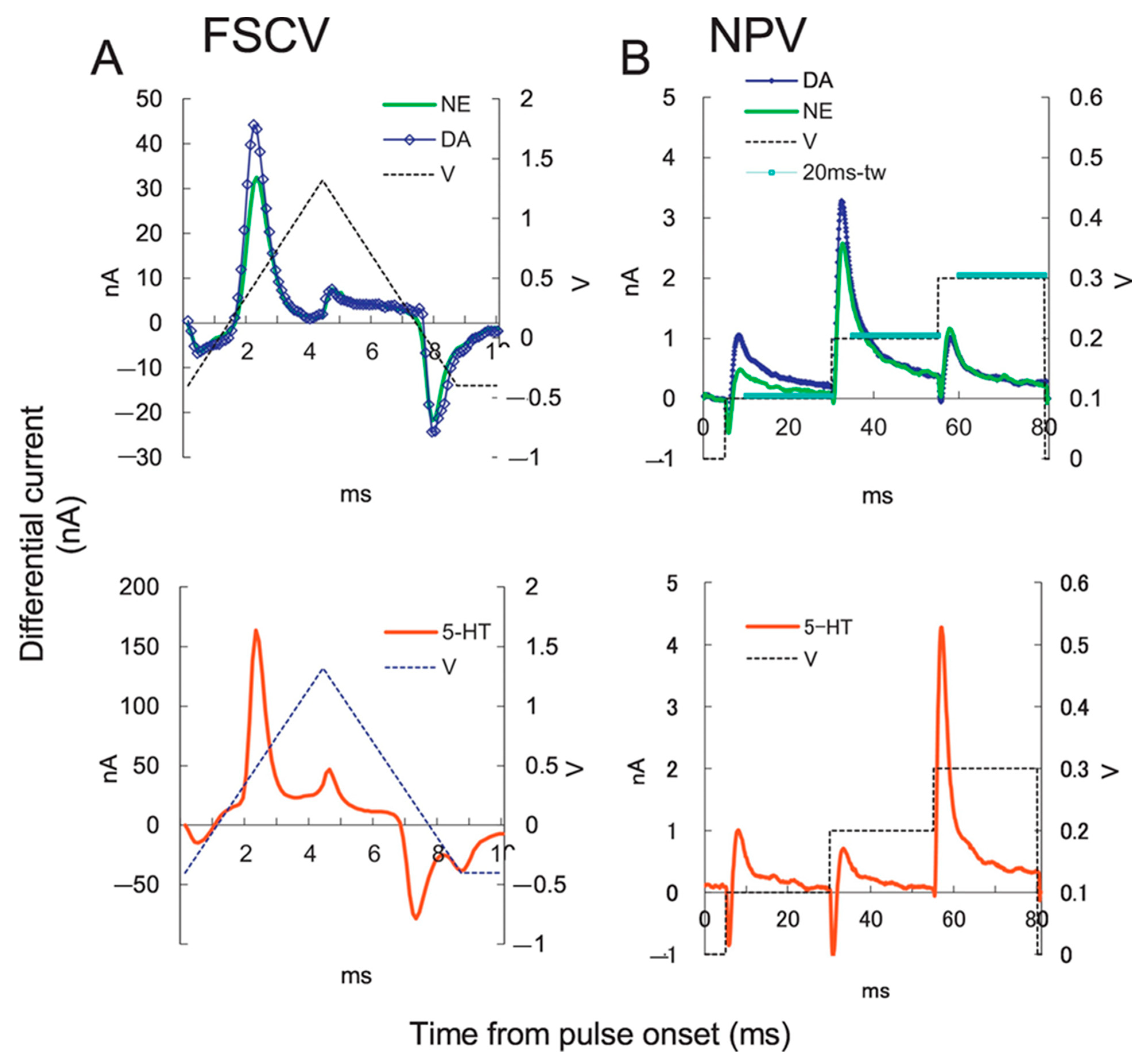 Chemosensors 11 00103 g016