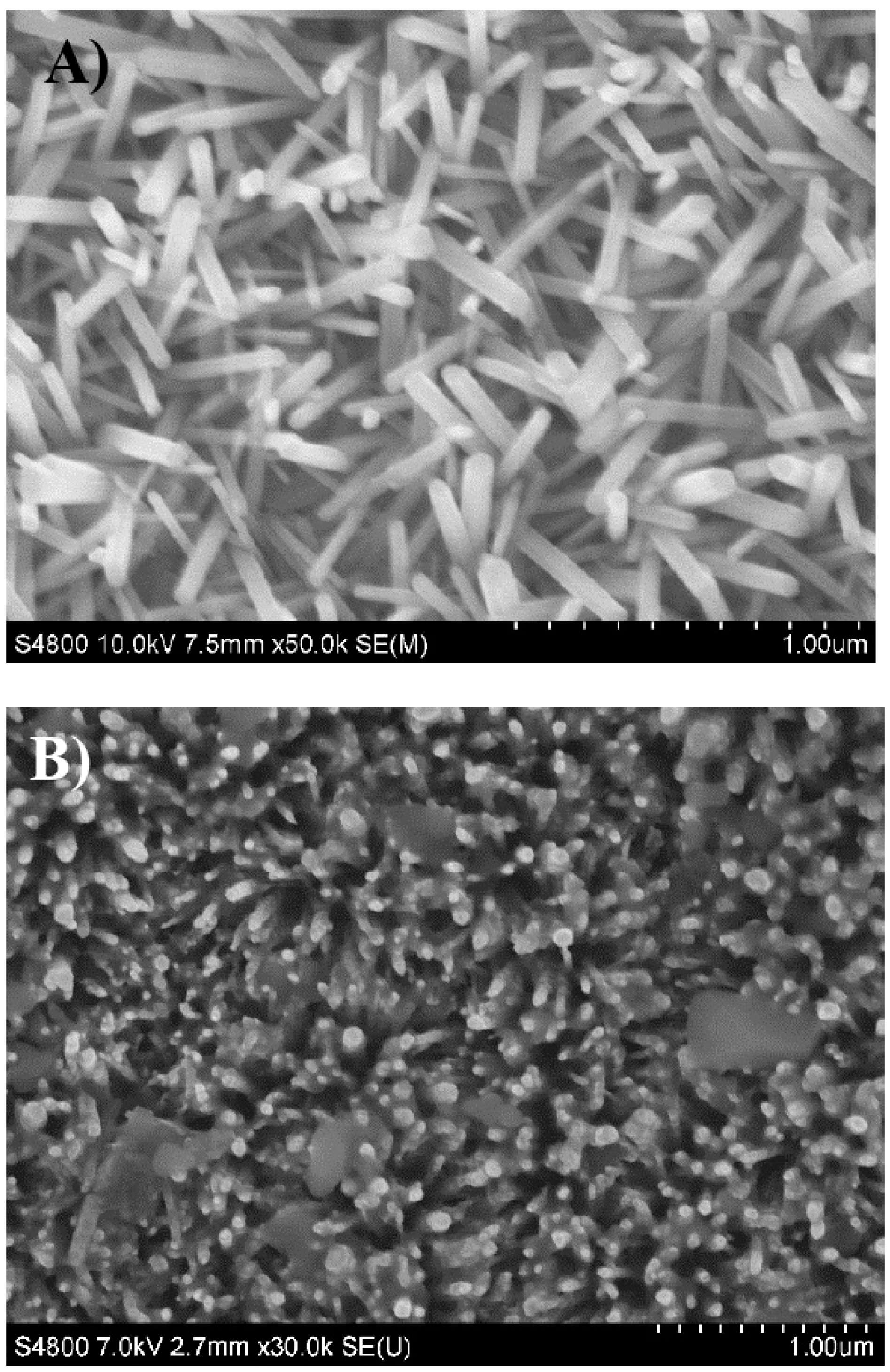 Chemosensors 11 00106 g001
