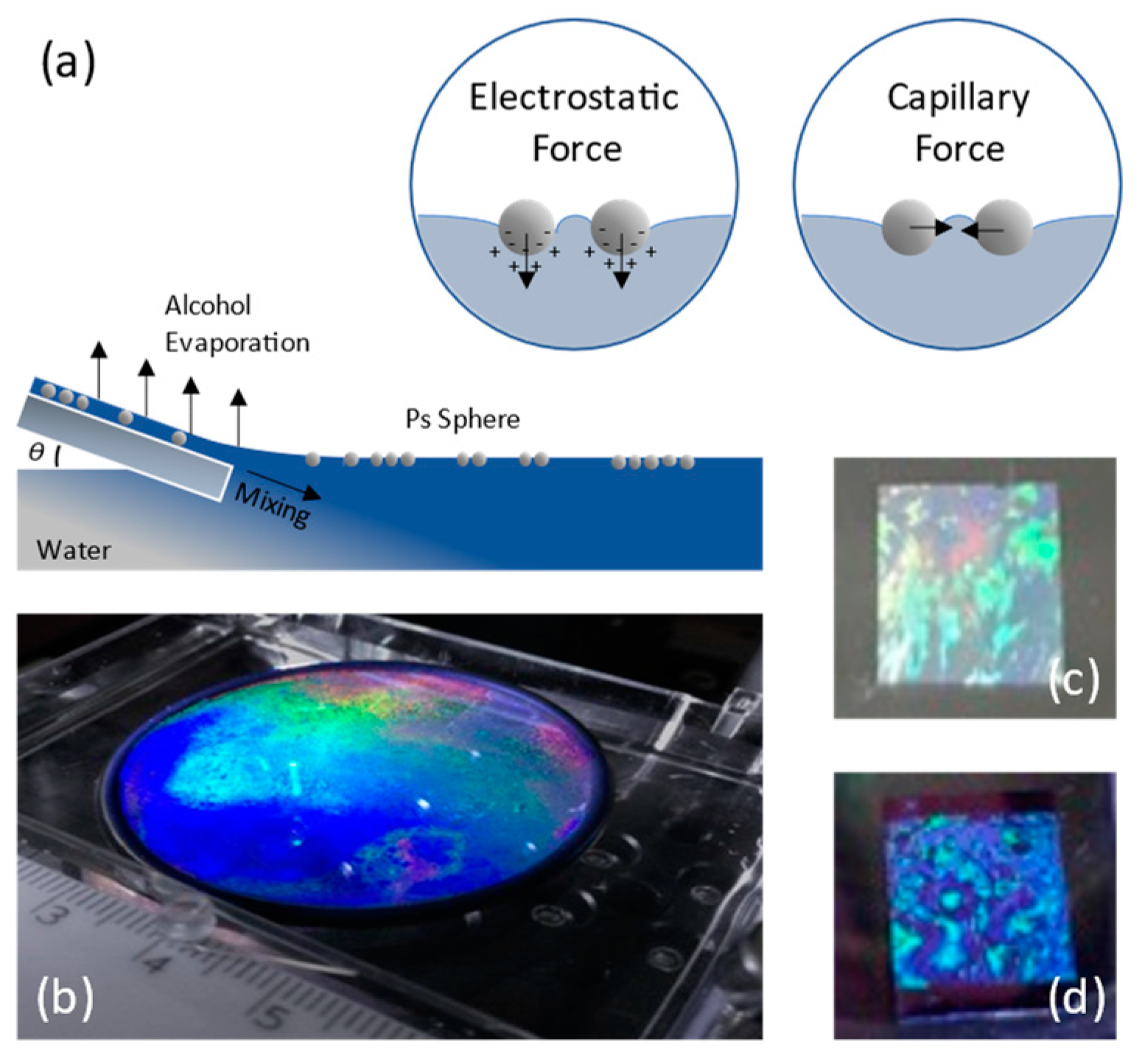 Chemosensors 11 00109 g001 Chemosensors 11 00109 g001