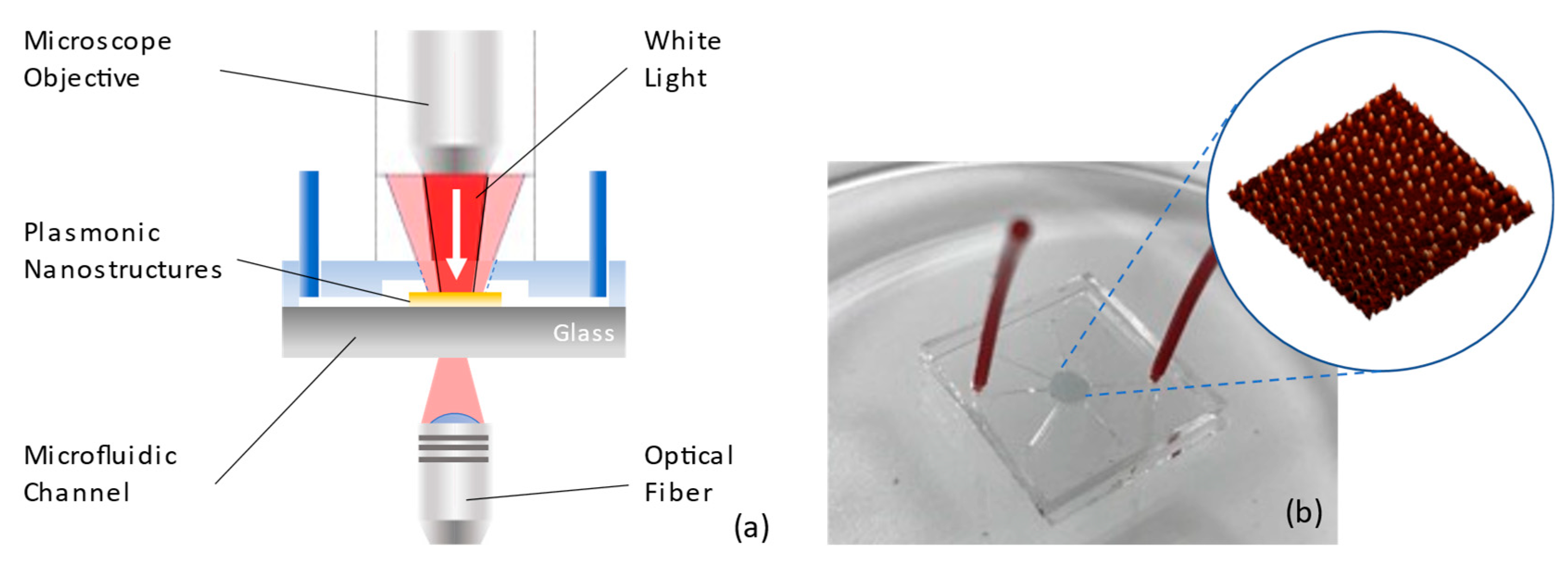 Chemosensors 11 00109 g008 Chemosensors 11 00109 g008