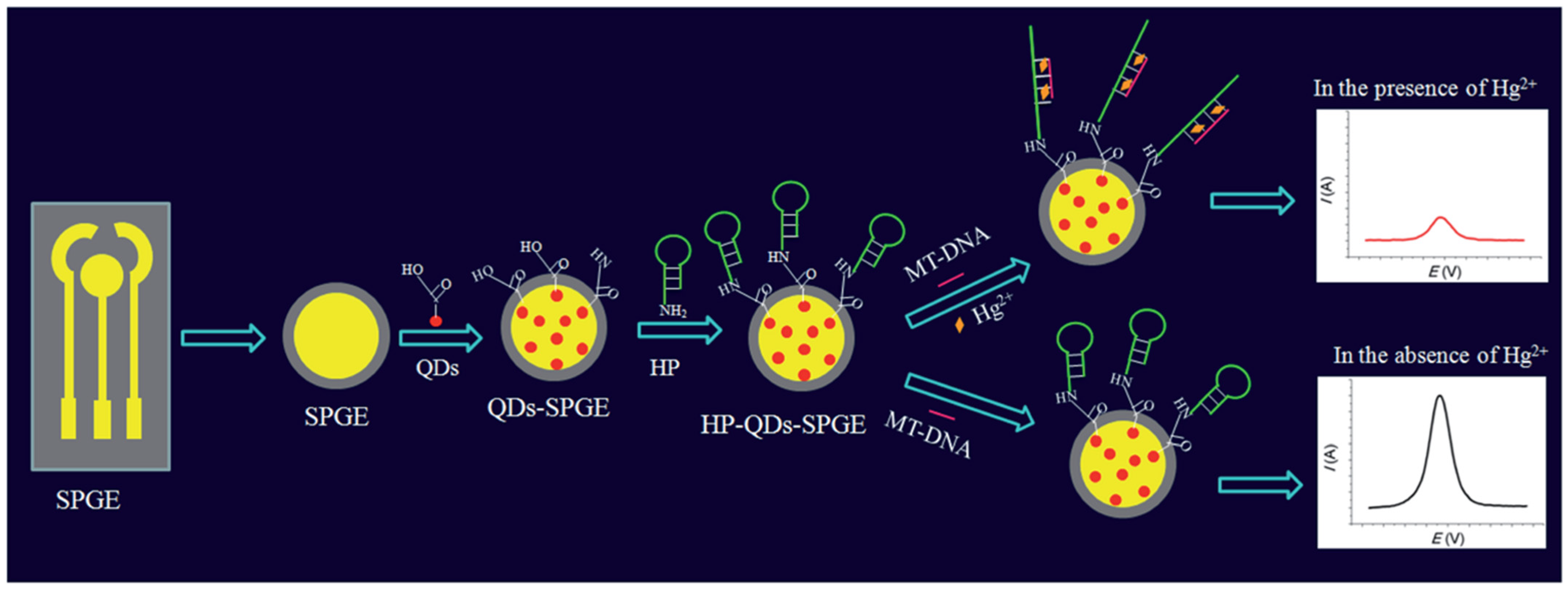 Chemosensors 11 00113 g005