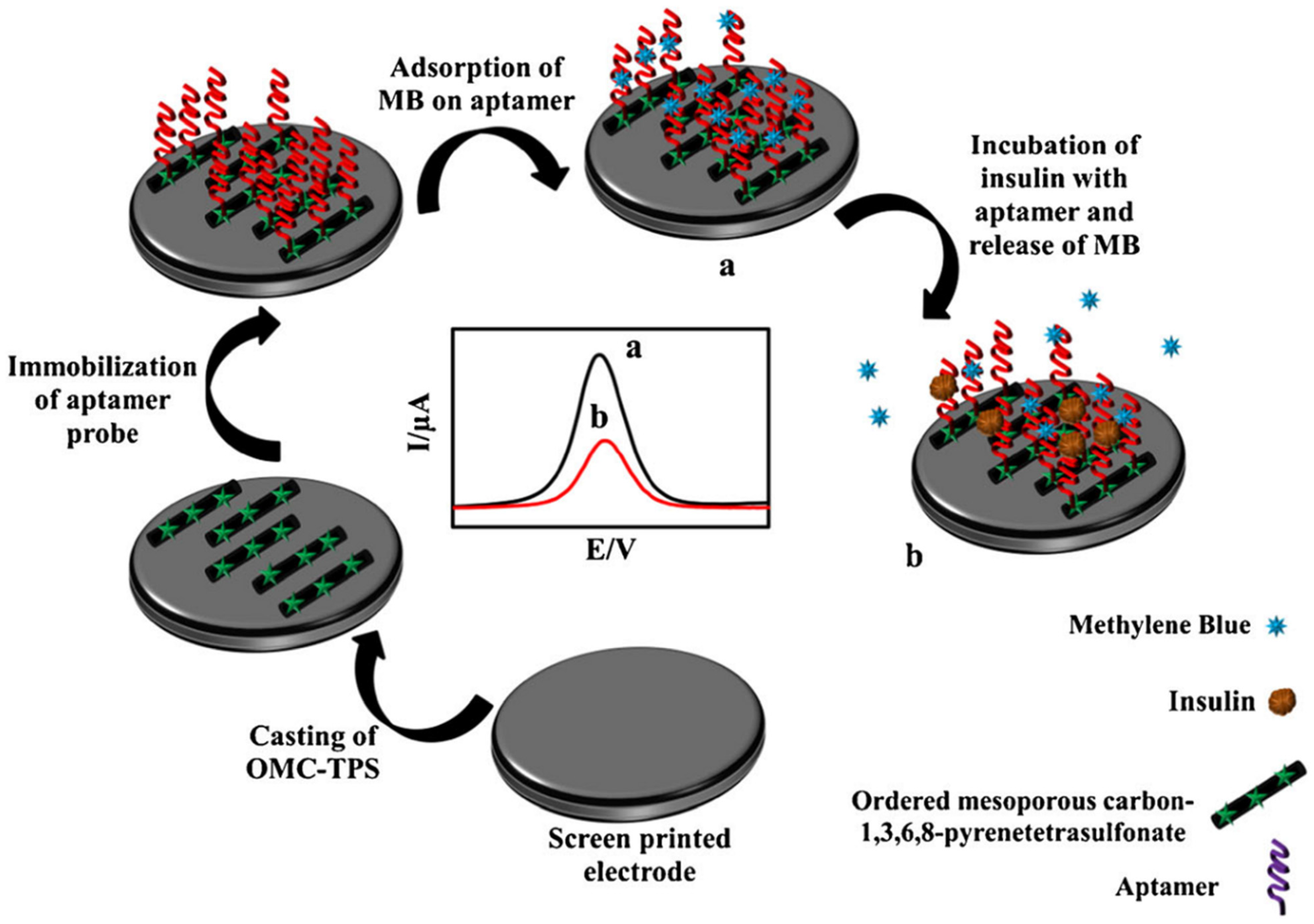 Chemosensors 11 00113 g006
