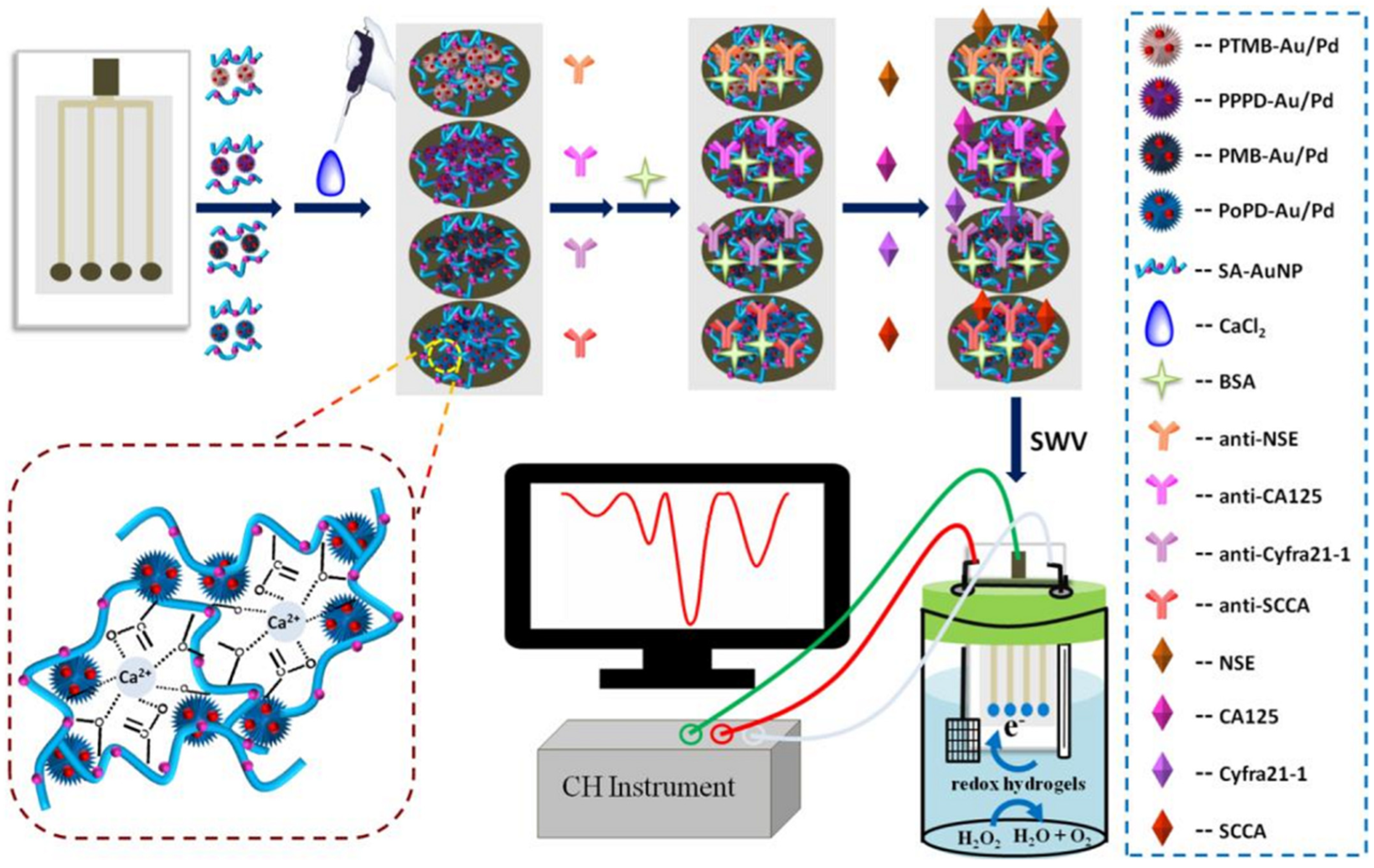 Chemosensors 11 00113 g009
