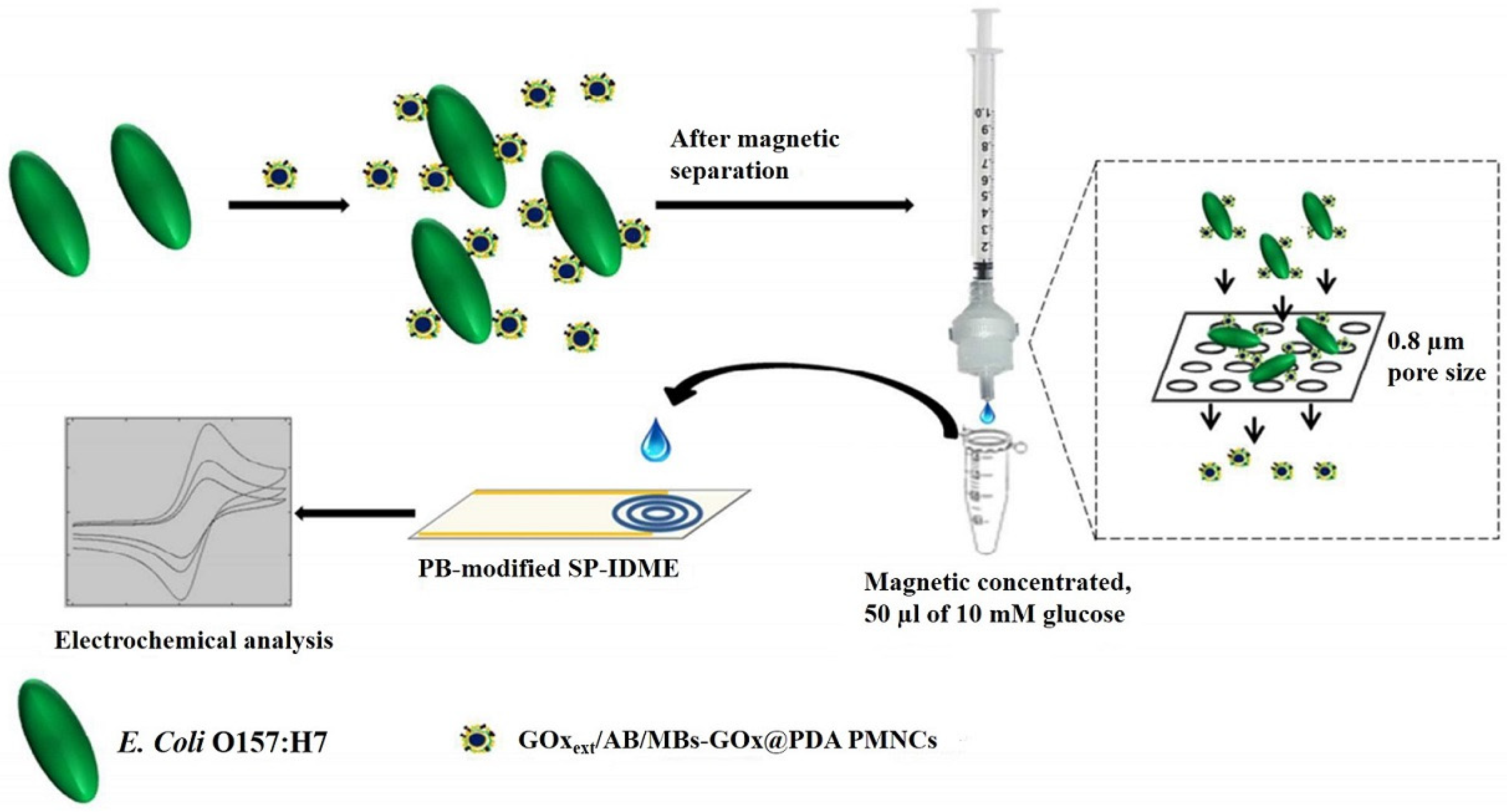 Chemosensors 11 00113 g011