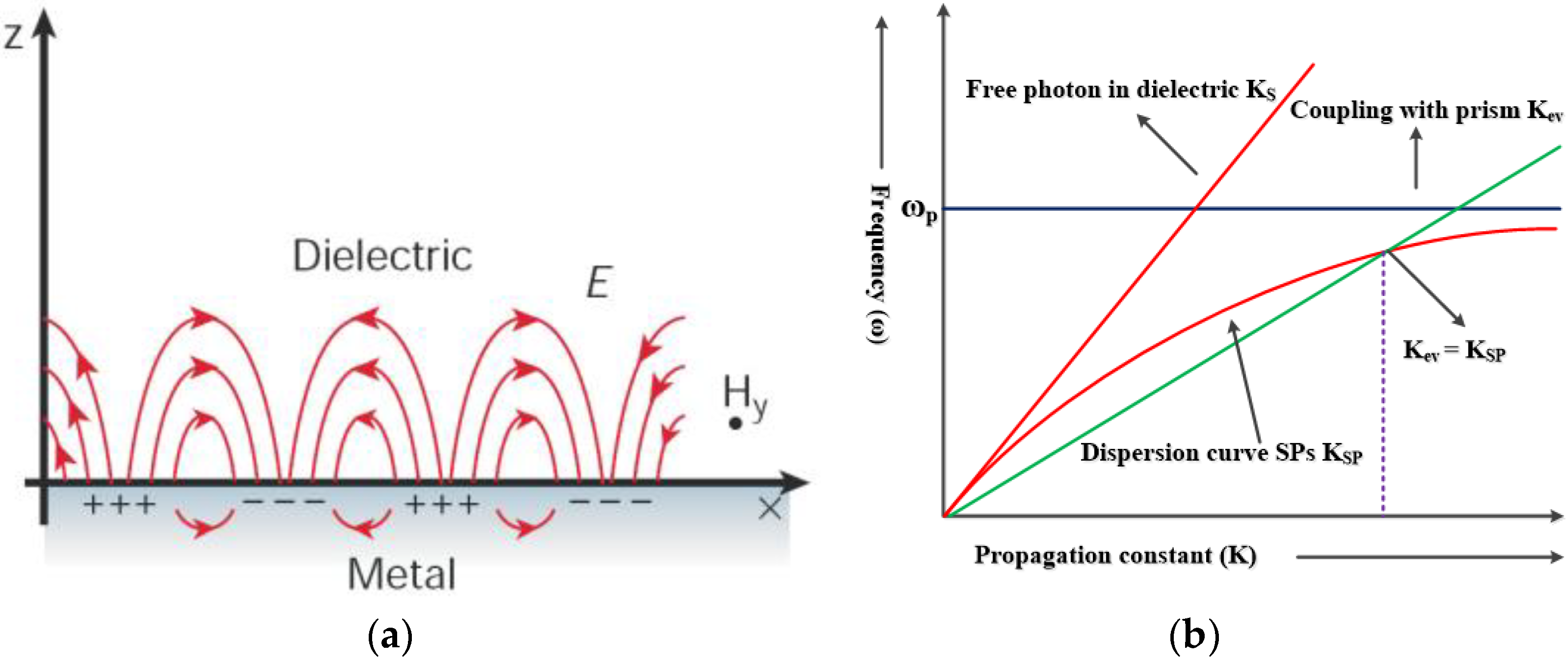 Chemosensors 11 00119 g001 Chemosensors 11 00119 g001