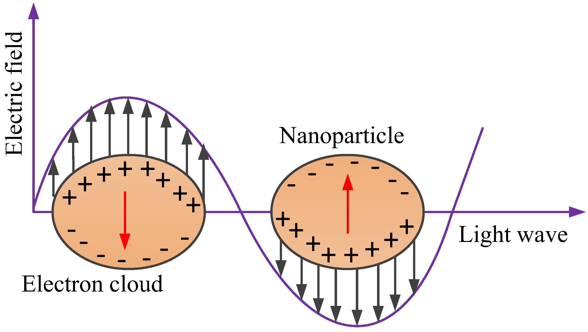 Chemosensors 11 00119 g005 Chemosensors 11 00119 g005