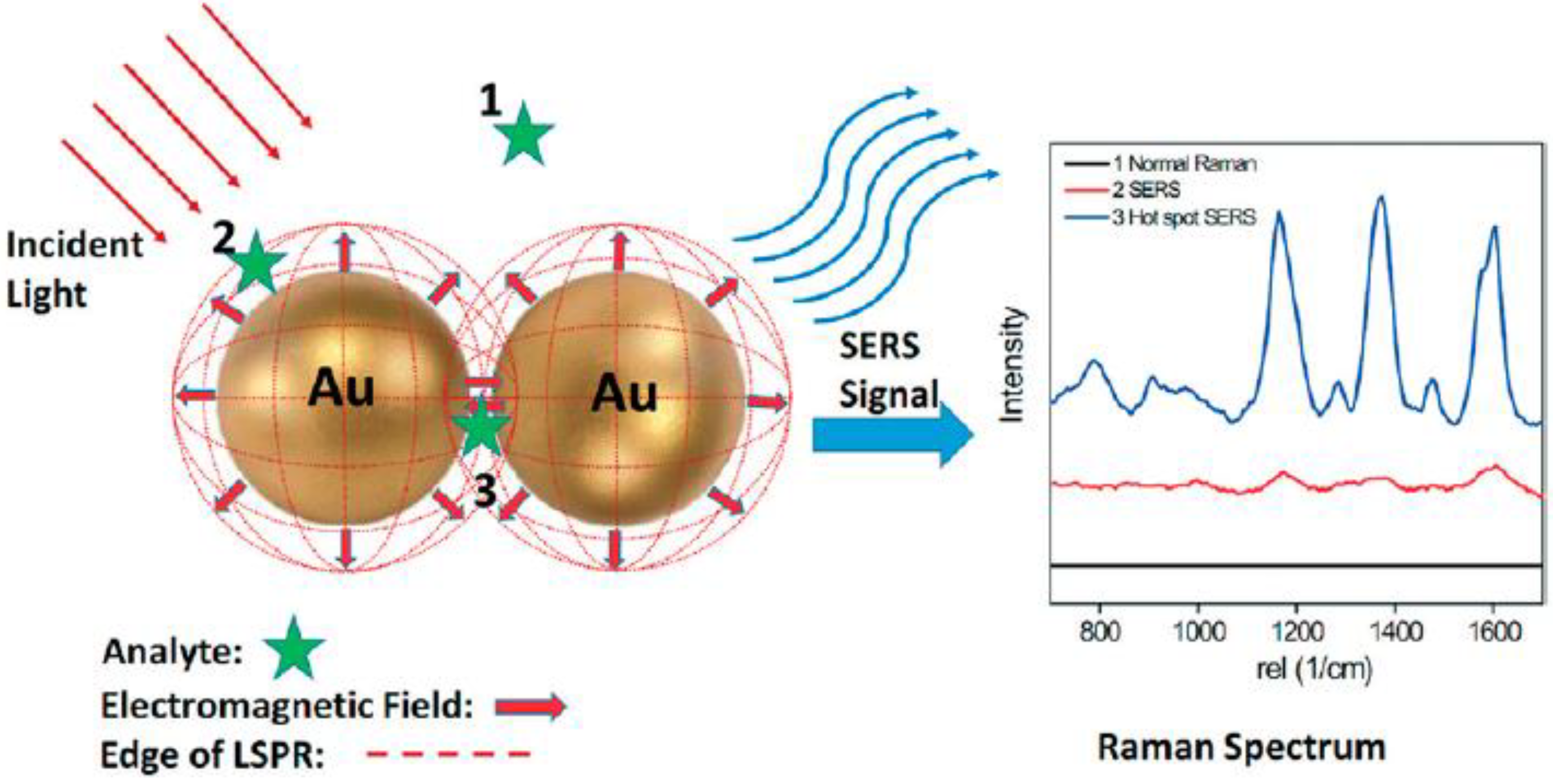Chemosensors 11 00119 g009 Chemosensors 11 00119 g009