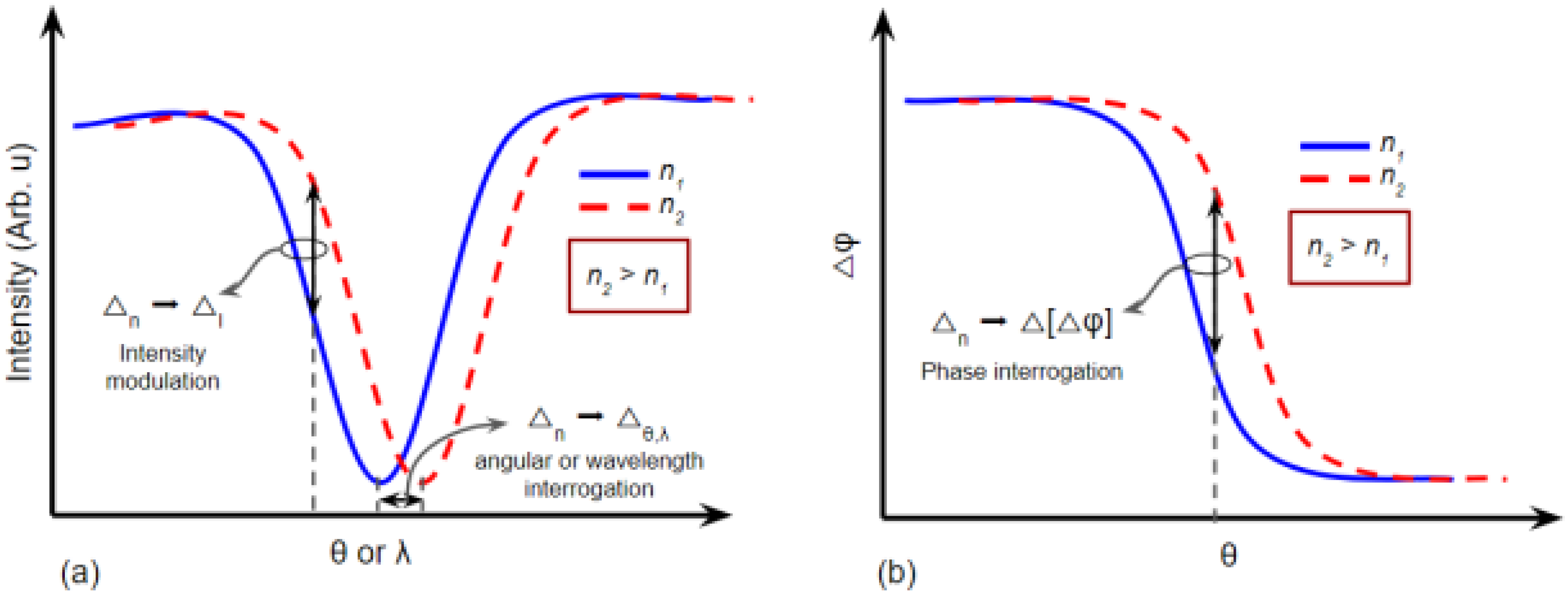 Chemosensors 11 00119 g010 Chemosensors 11 00119 g010