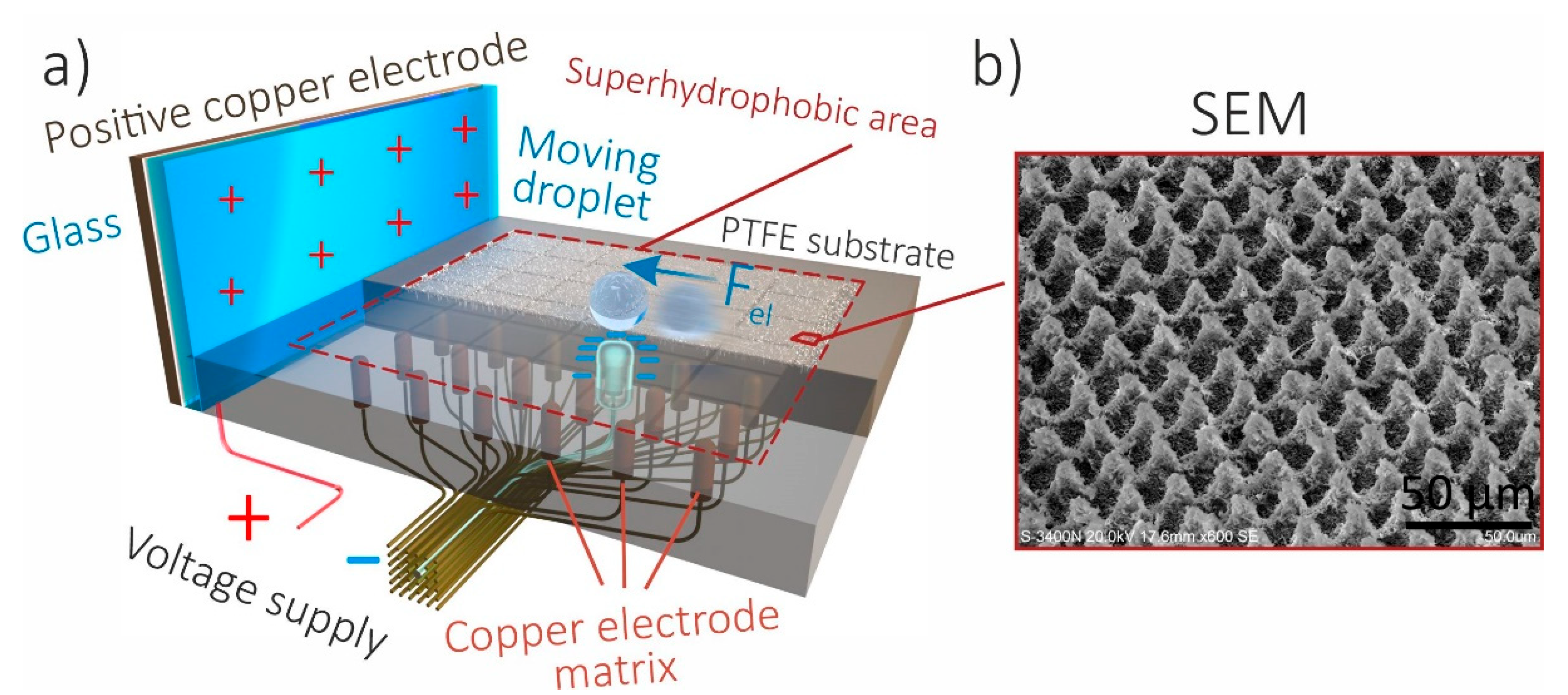 Chemosensors 11 00120 g001 550
