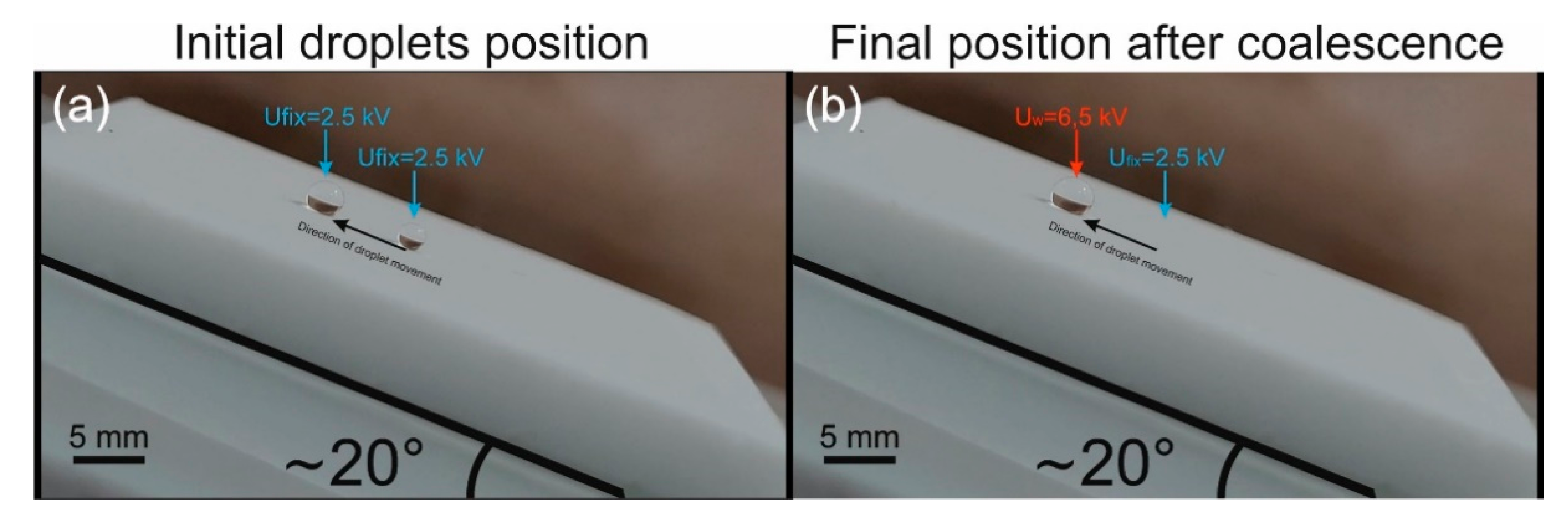 Chemosensors 11 00120 g006 550
