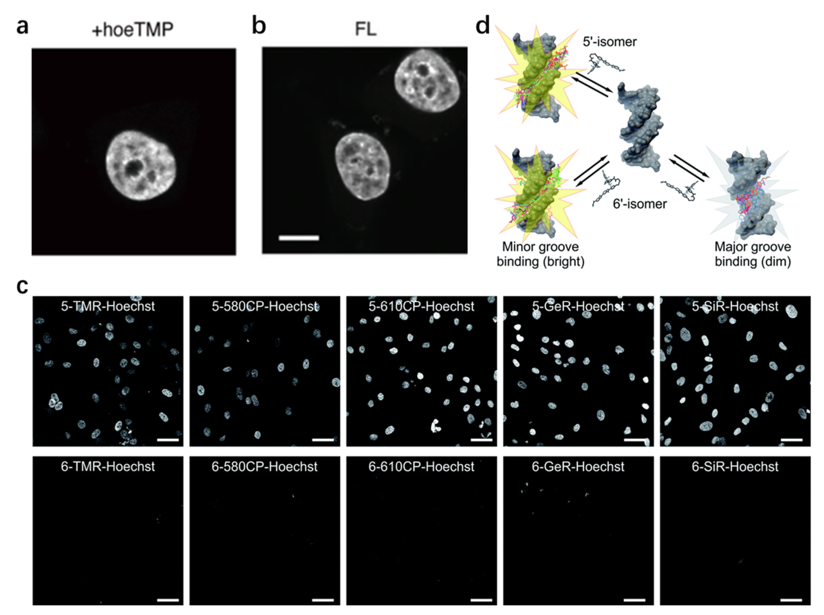 Chemosensors 11 00125 g006 Chemosensors 11 00125 g006