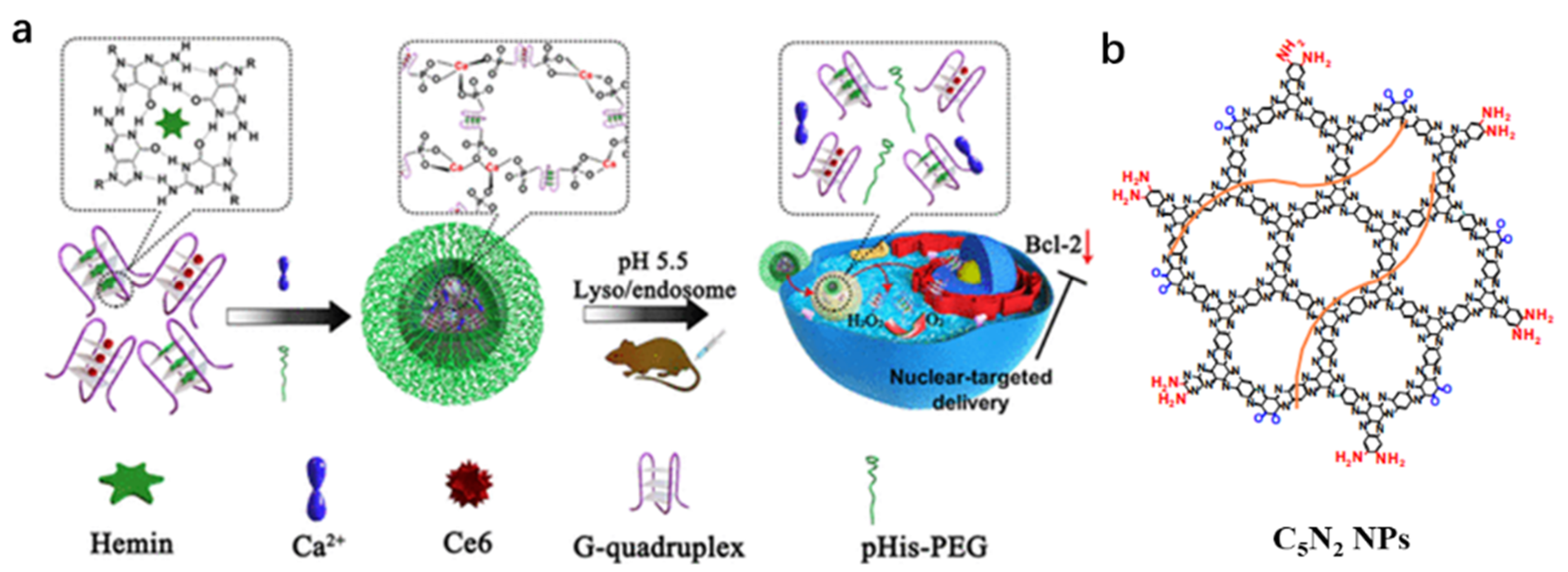 Chemosensors 11 00125 g029 Chemosensors 11 00125 g029