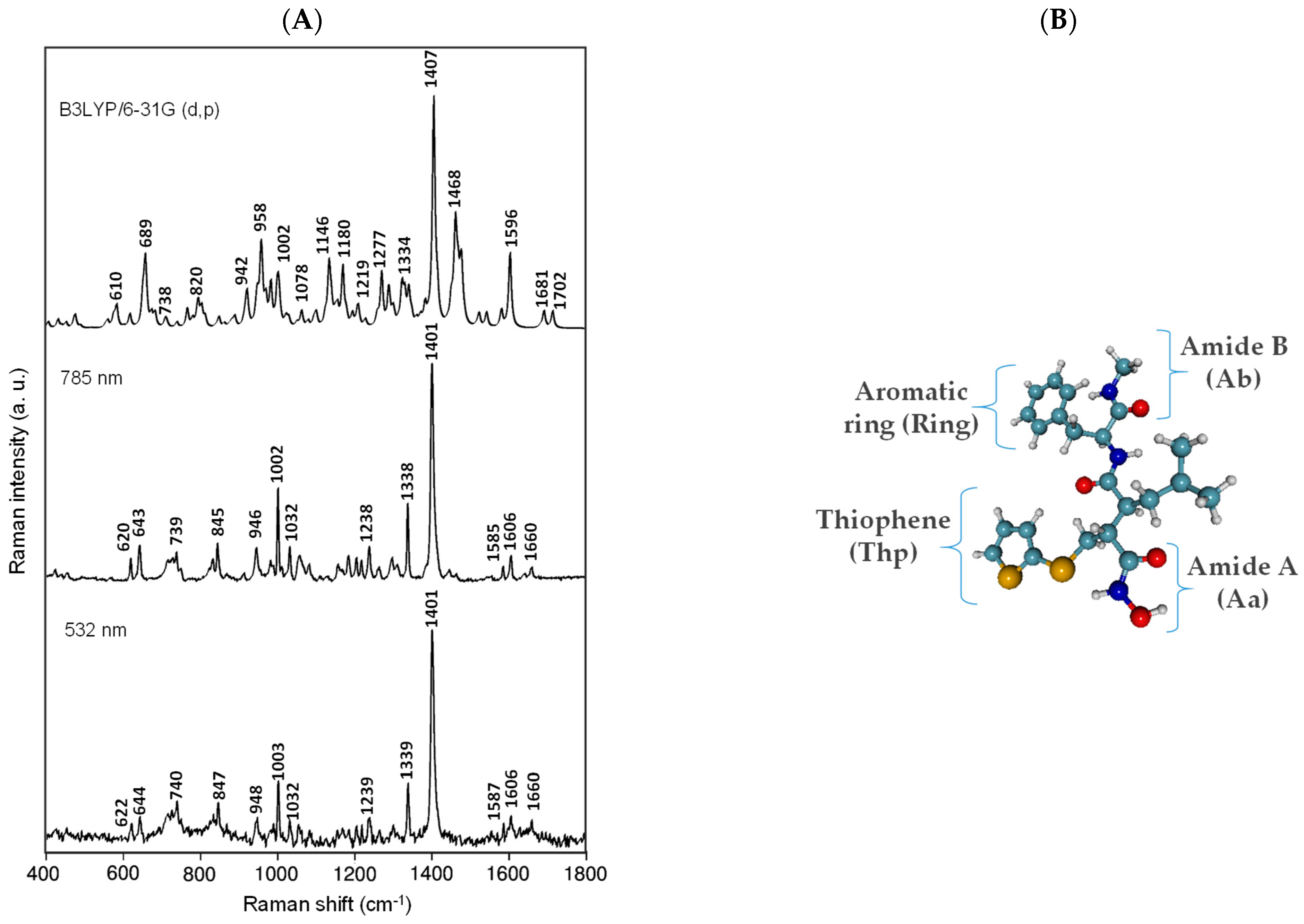 Chemosensors 11 00128 g001 550