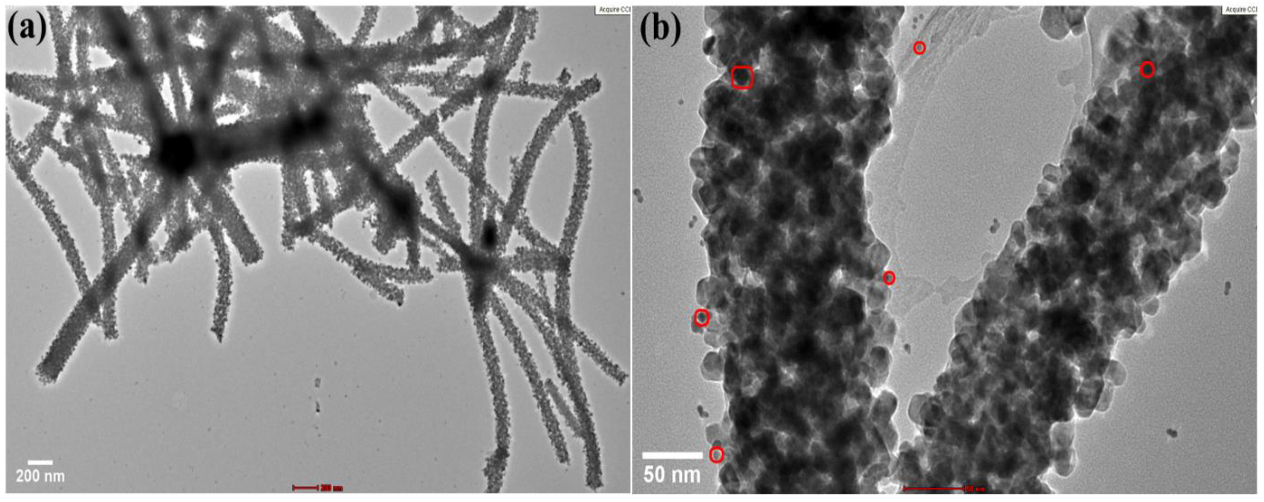 Chemosensors 11 00130 g002