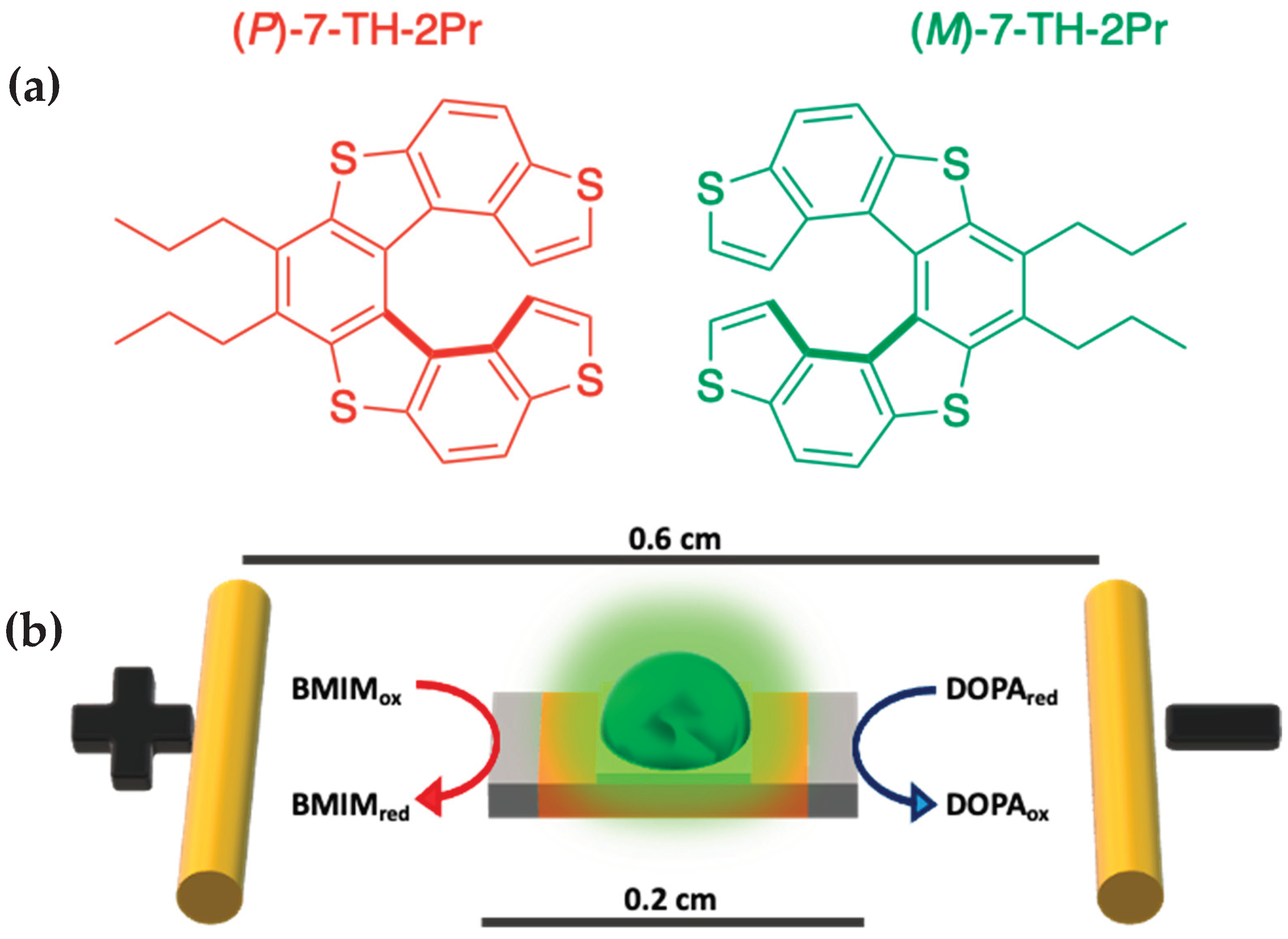 Chemosensors 11 00131 sch001 Chemosensors 11 00131 sch001