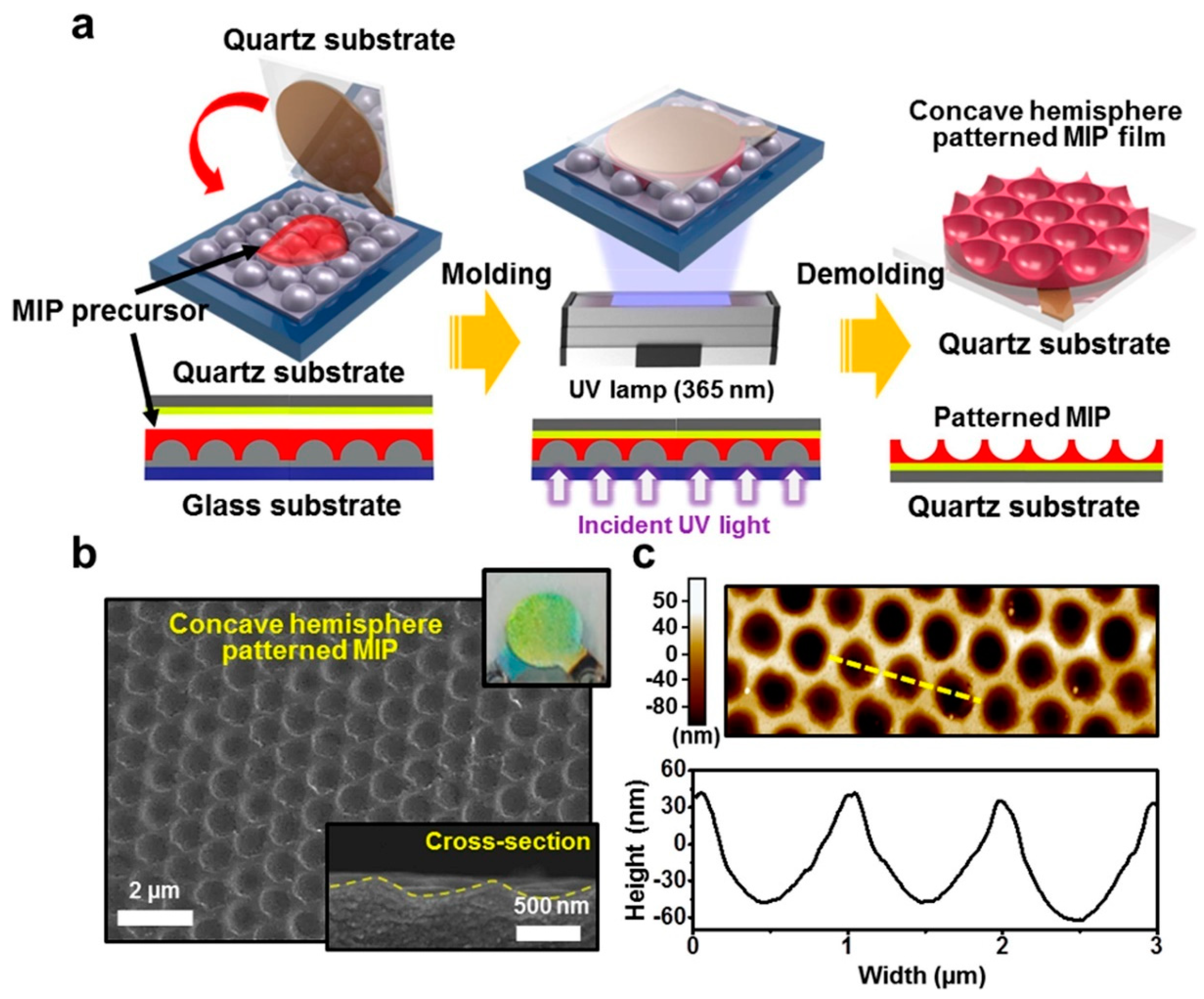 Chemosensors 11 00134 g002 Chemosensors 11 00134 g002