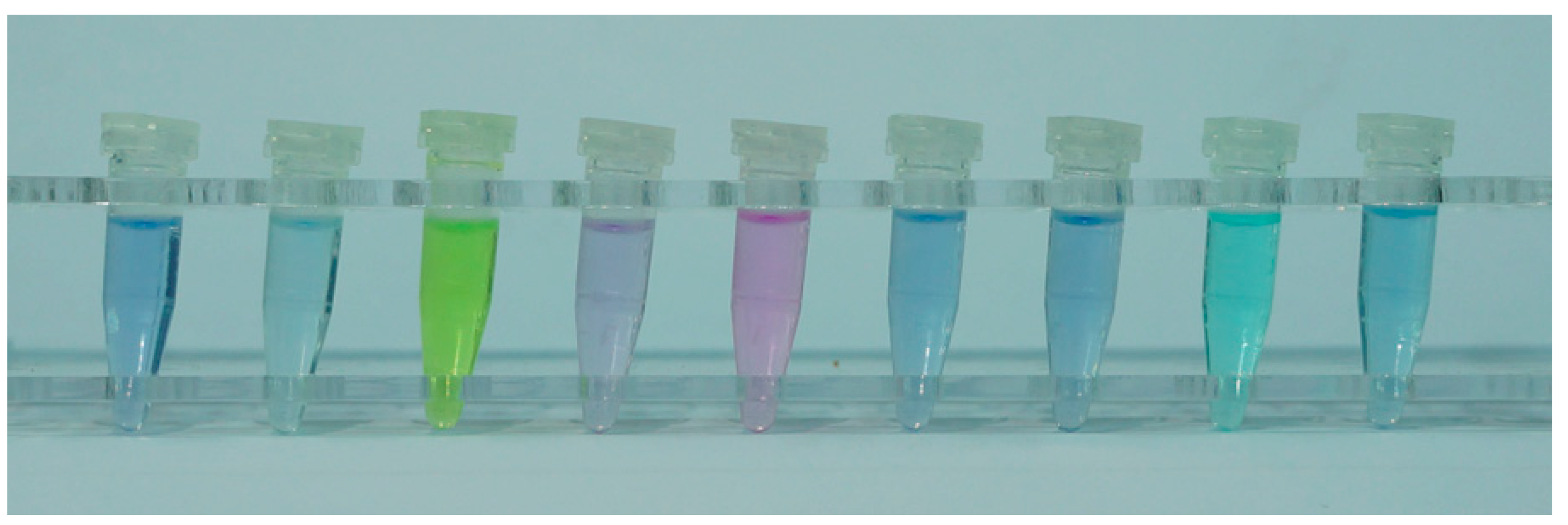 Chemosensors Free FullText Investigation of the Colorimetric