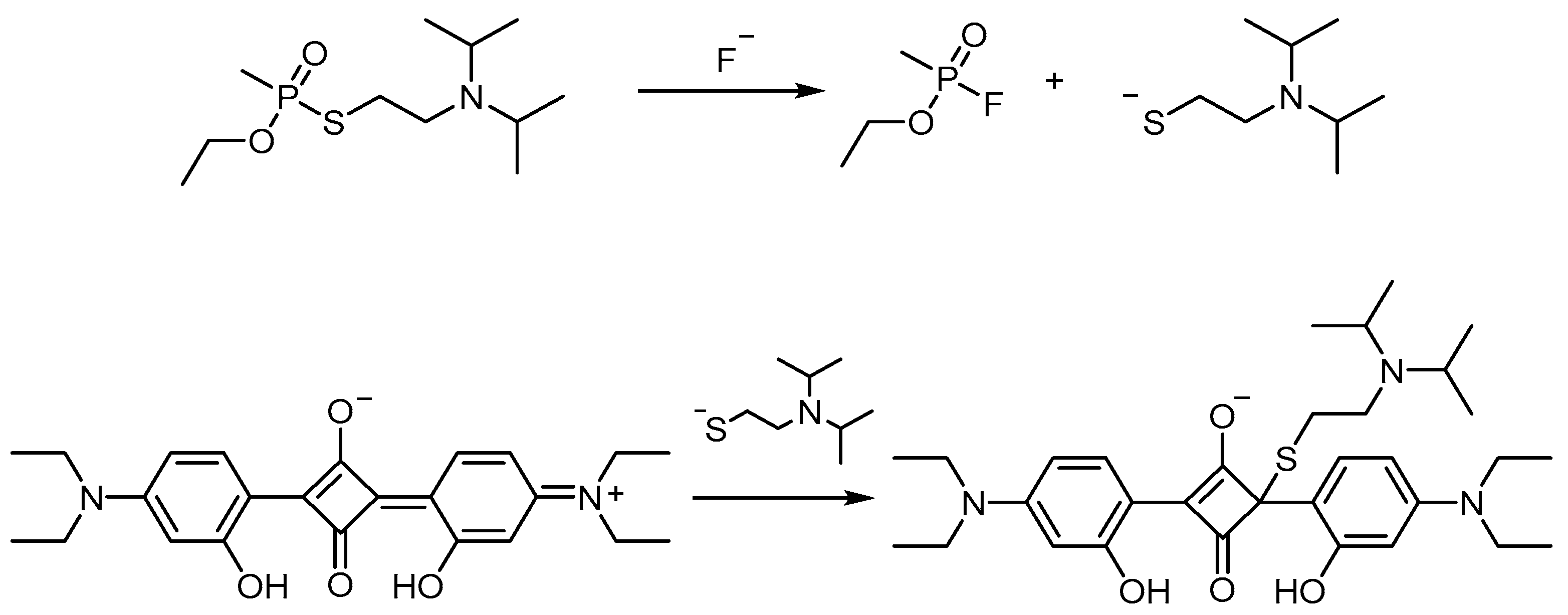 Chemosensors 11 00137 sch002