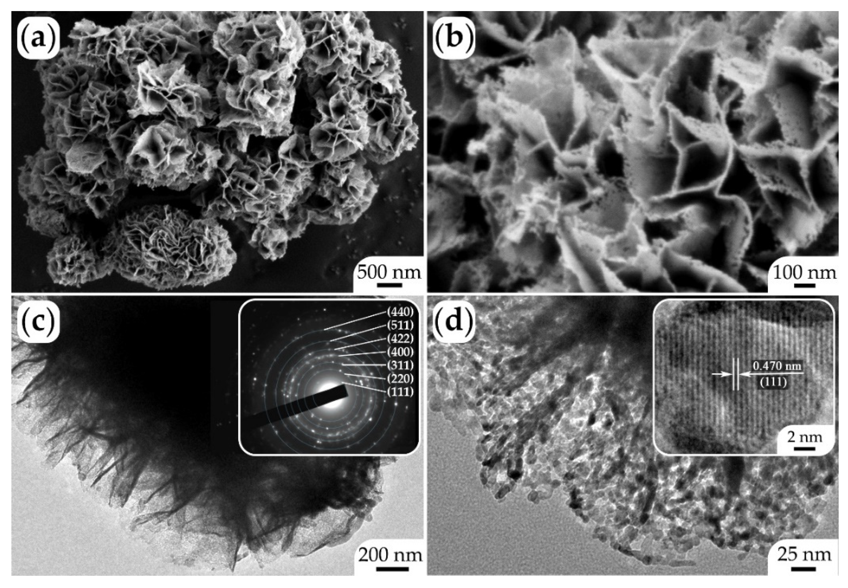 Chemosensors 11 00138 g005