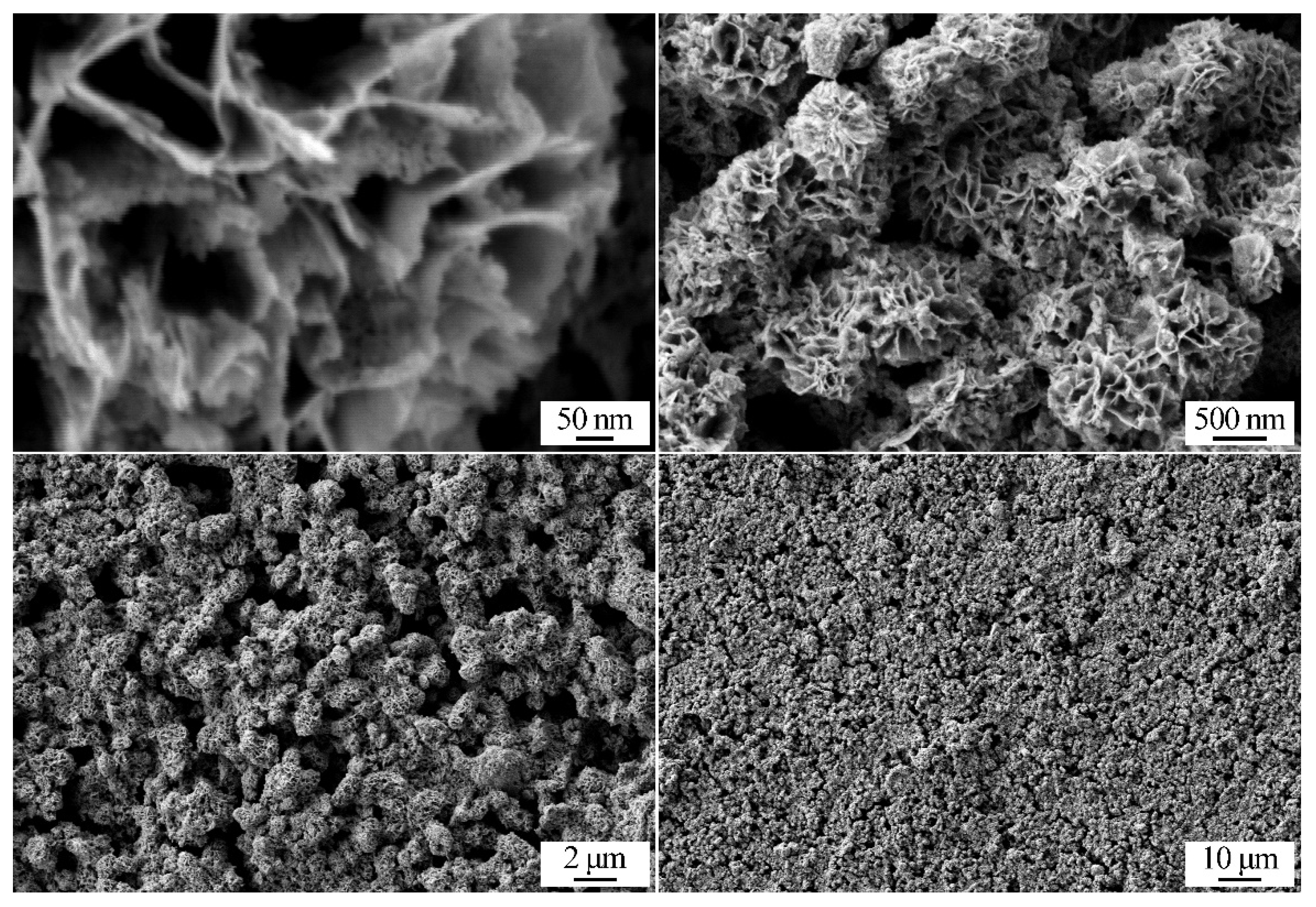Chemosensors 11 00138 g008