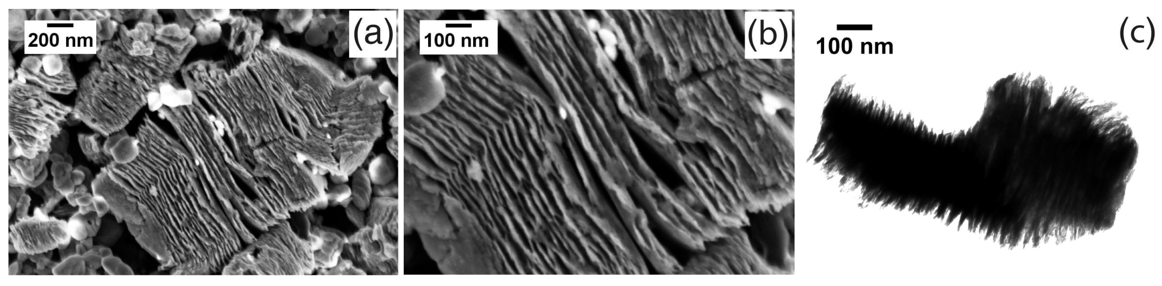 Chemosensors 11 00142 g002 Chemosensors 11 00142 g002
