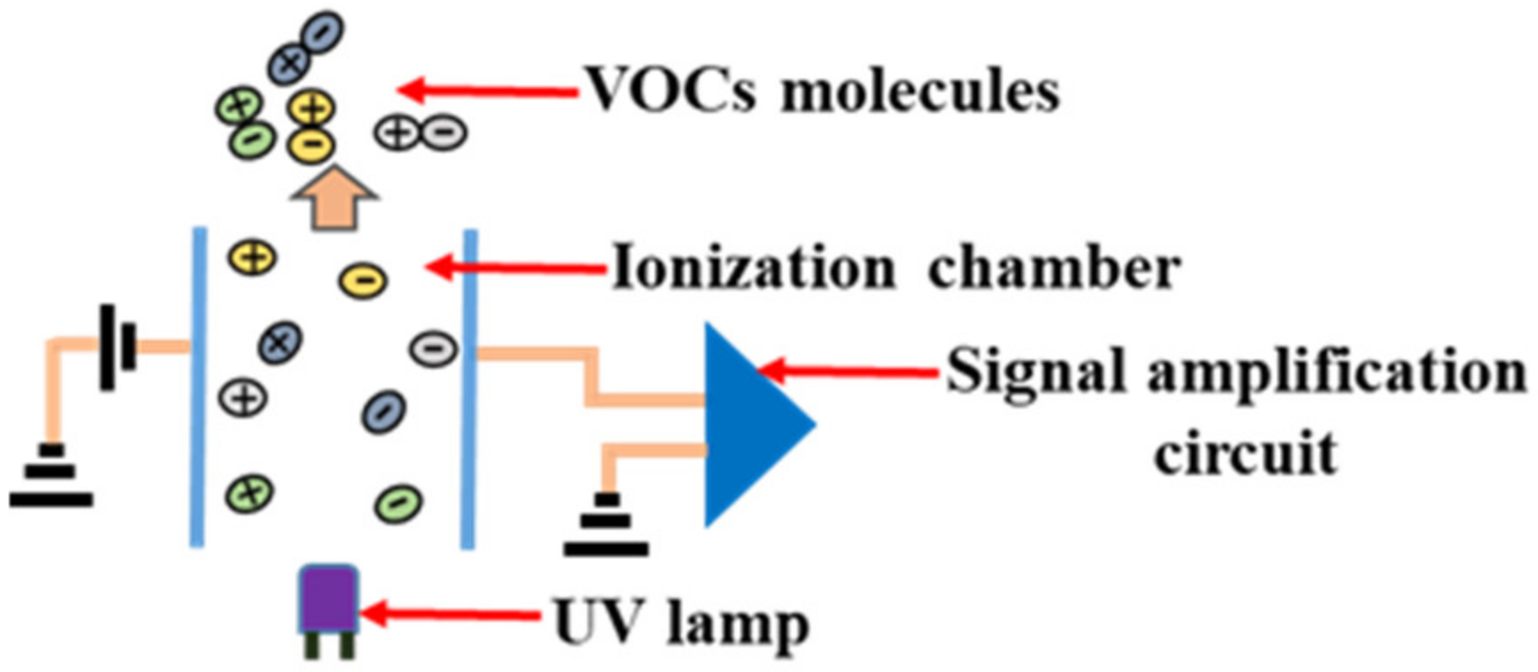 Chemosensors 11 00146 g002