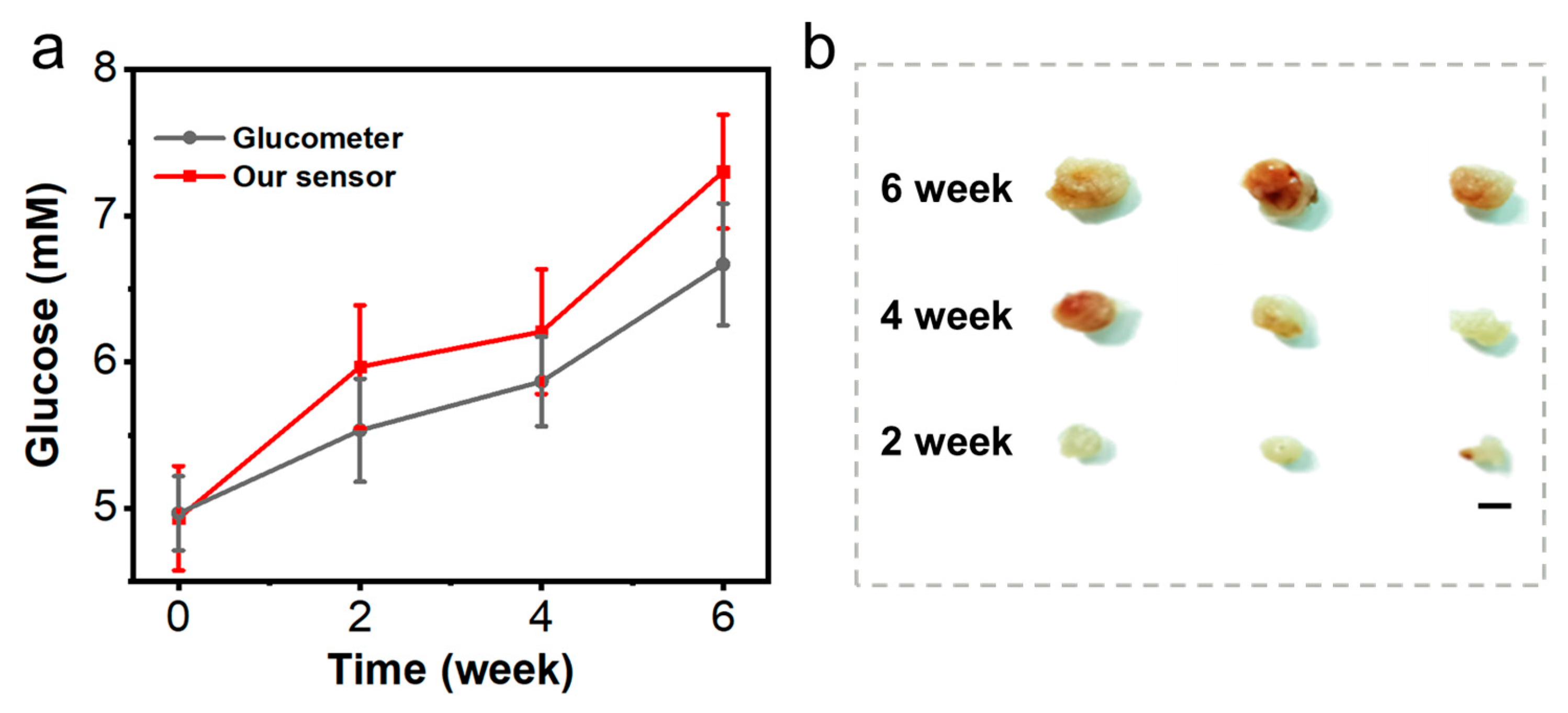 Chemosensors 11 00149 g006 Chemosensors 11 00149 g006