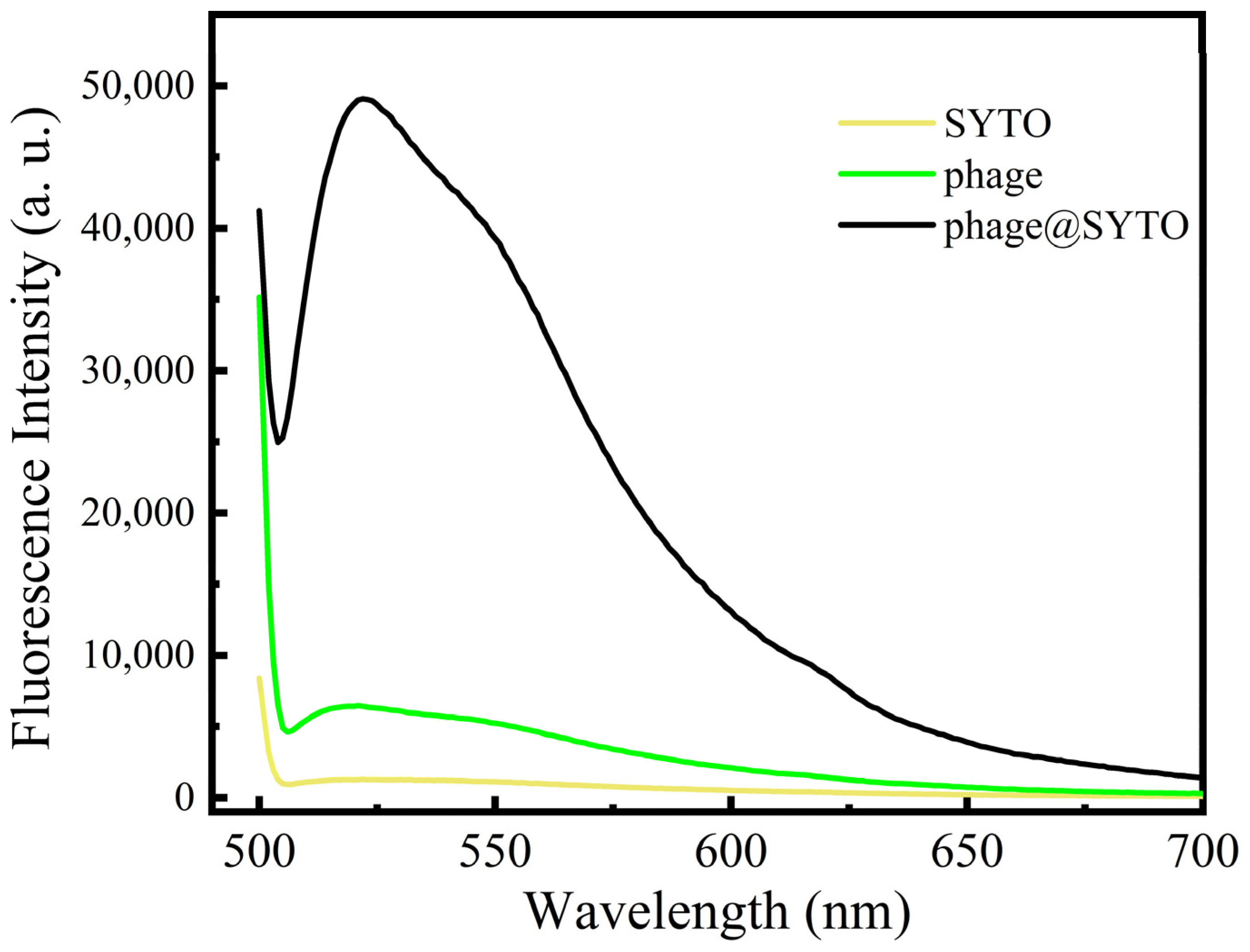 Chemosensors 11 00151 g002 Chemosensors 11 00151 g002