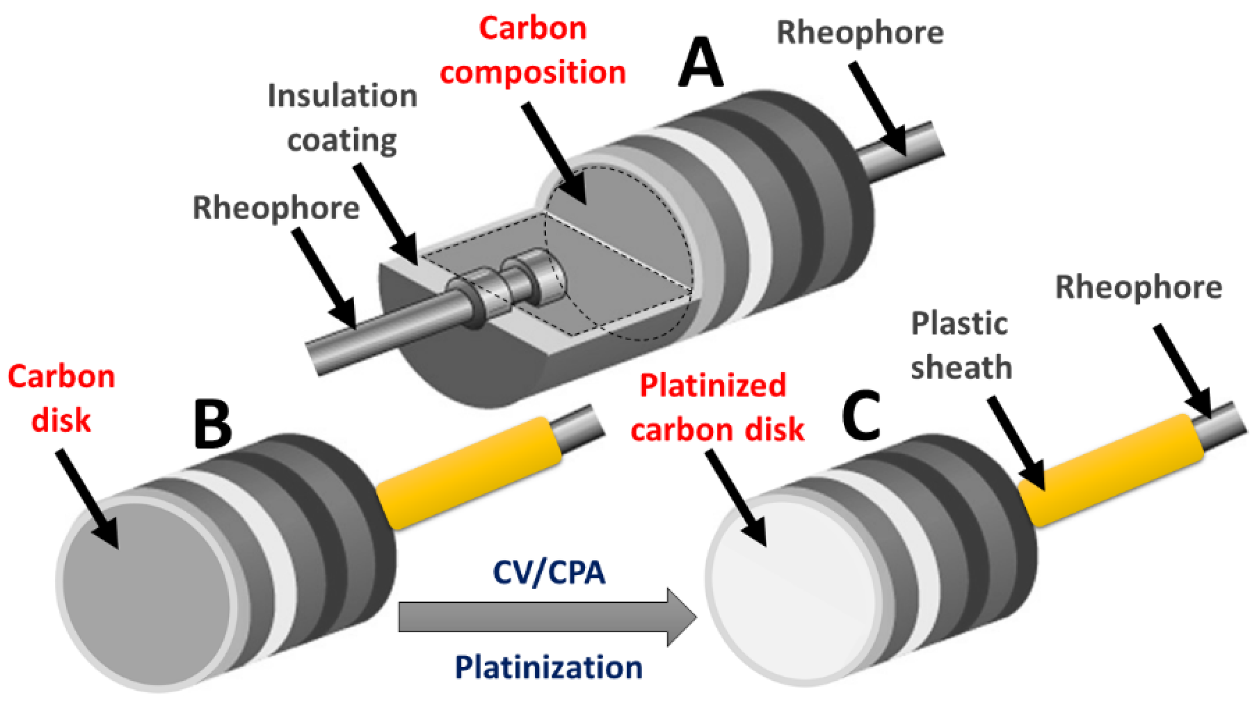 Chemosensors 11 00153 g001