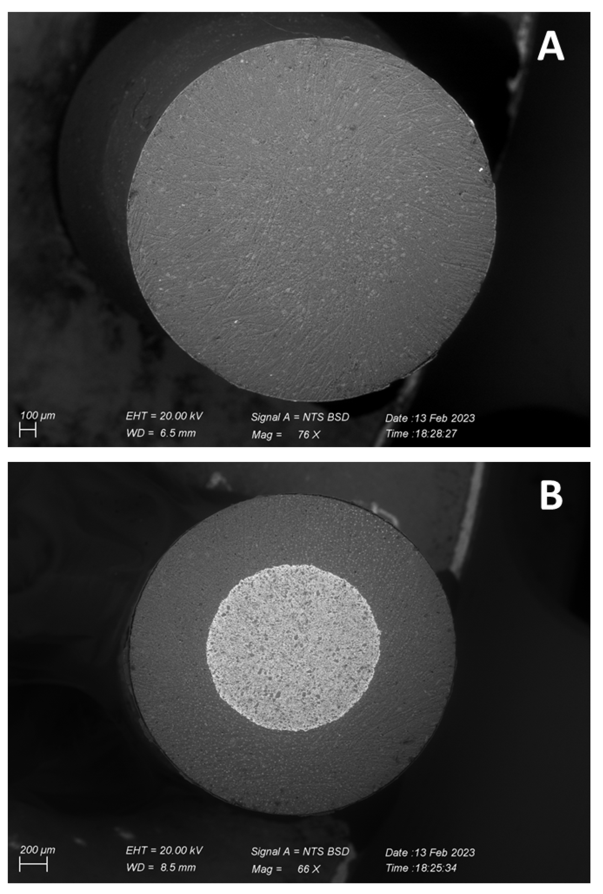 Chemosensors 11 00153 g006