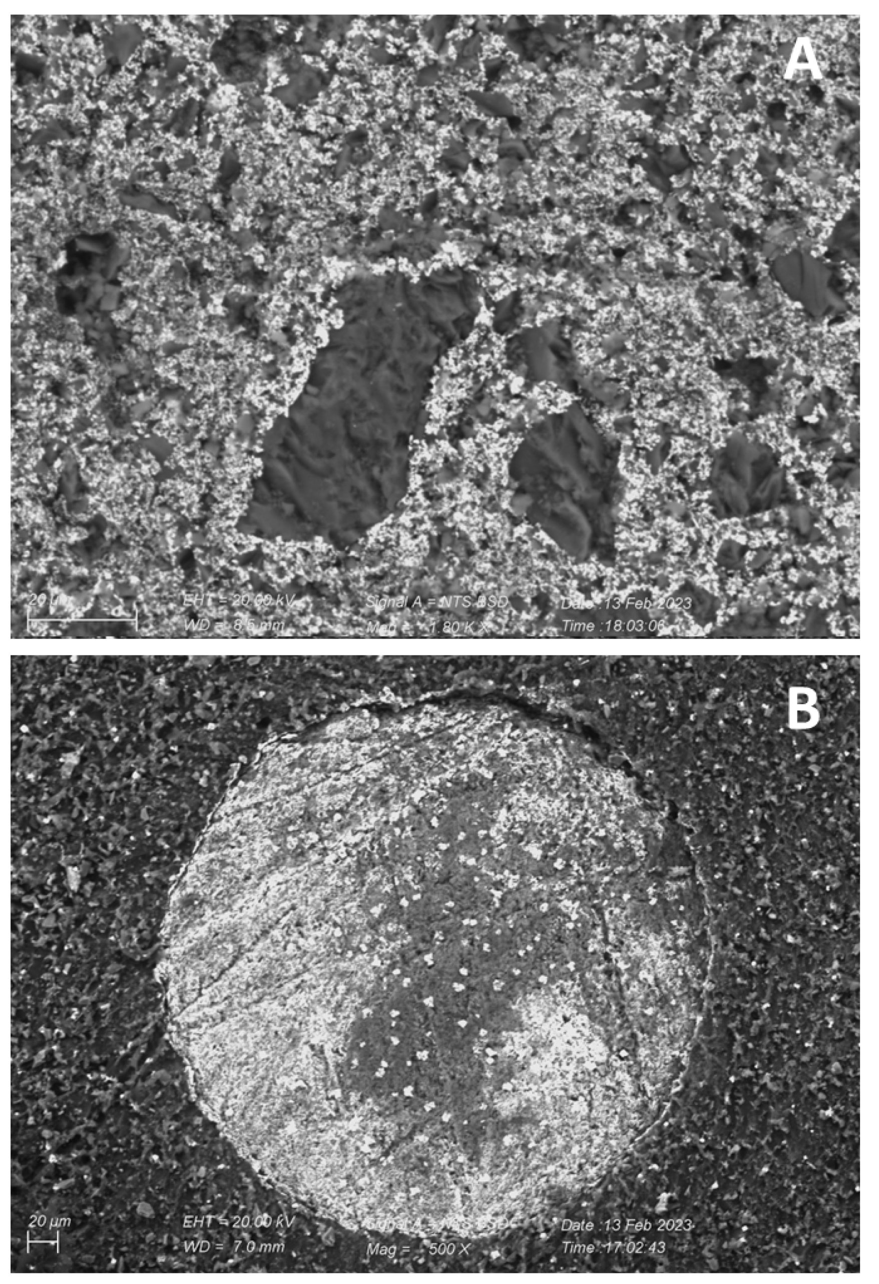 Chemosensors 11 00153 g008