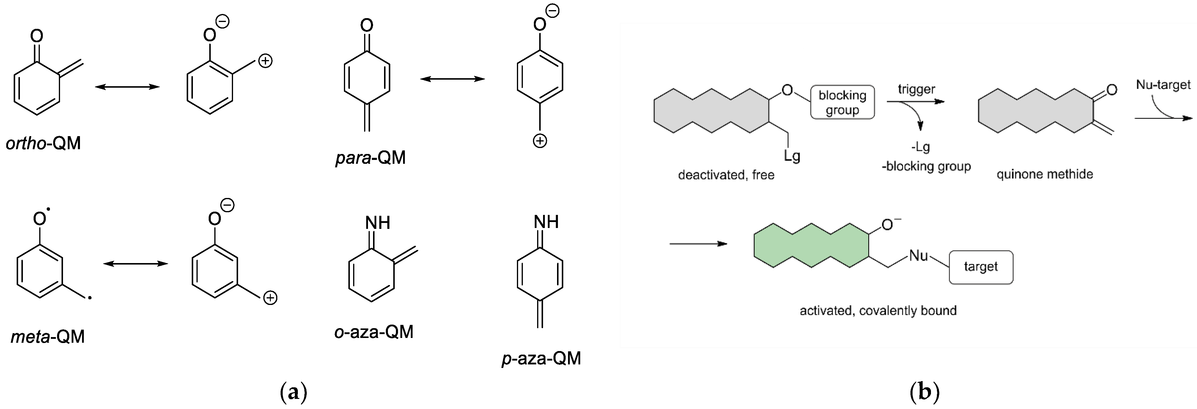 Chemosensors 11 00155 g001