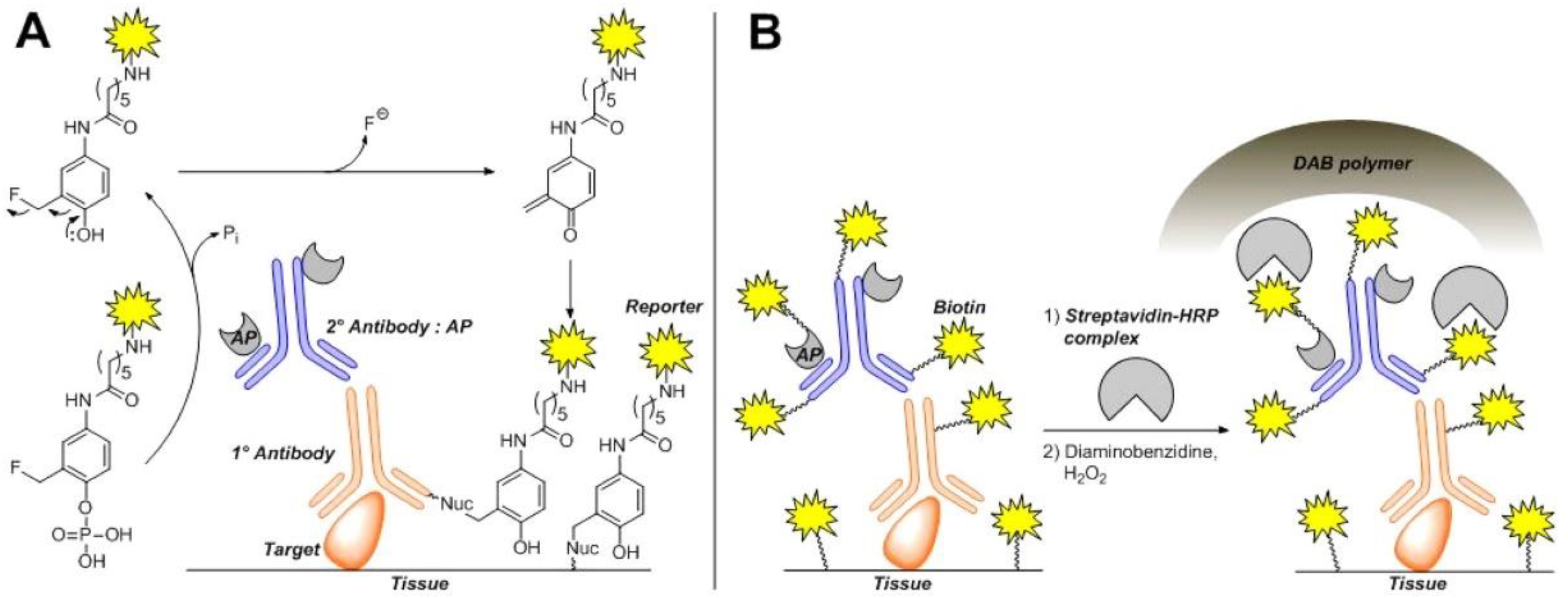 Chemosensors 11 00155 g004