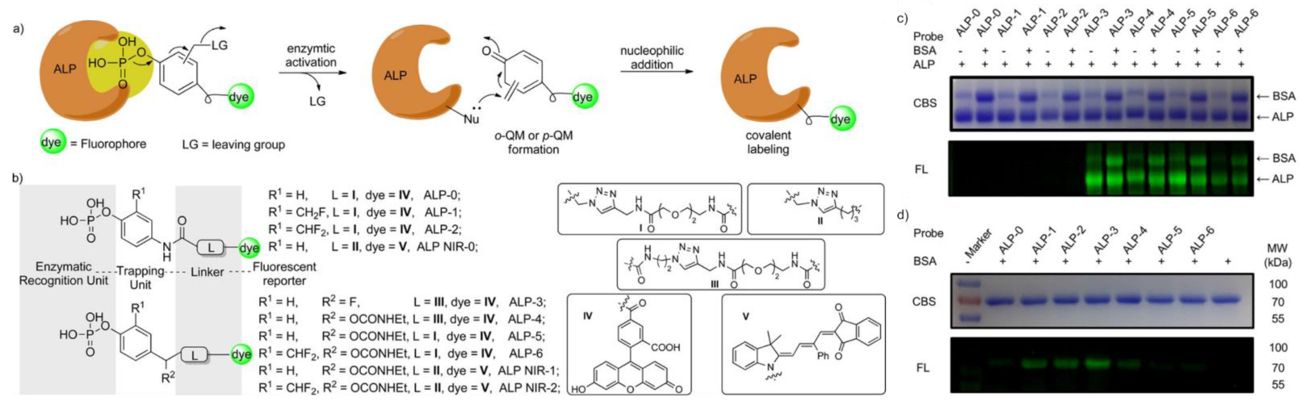 Chemosensors 11 00155 g005