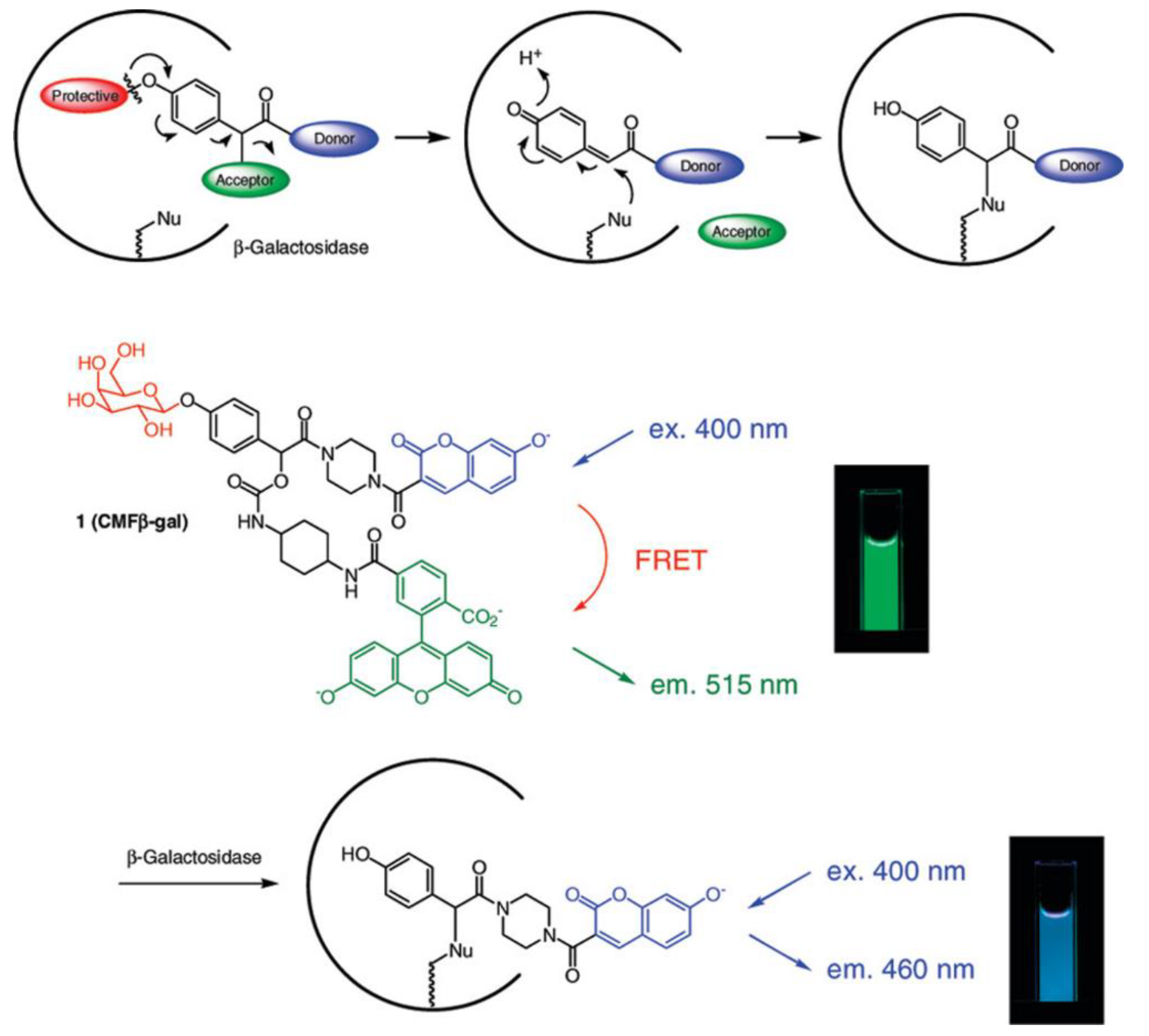 Chemosensors 11 00155 g008