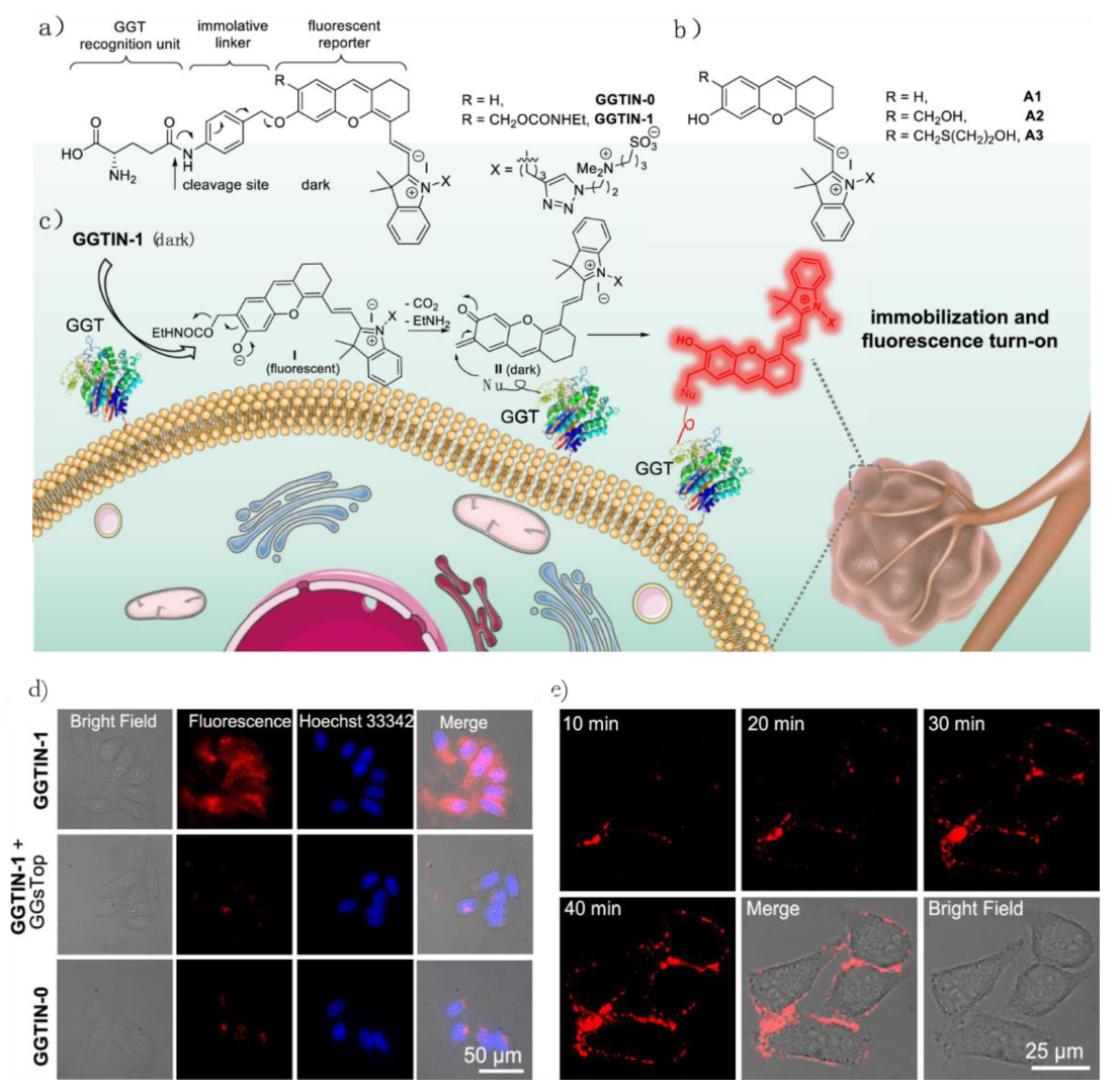 Chemosensors 11 00155 g015