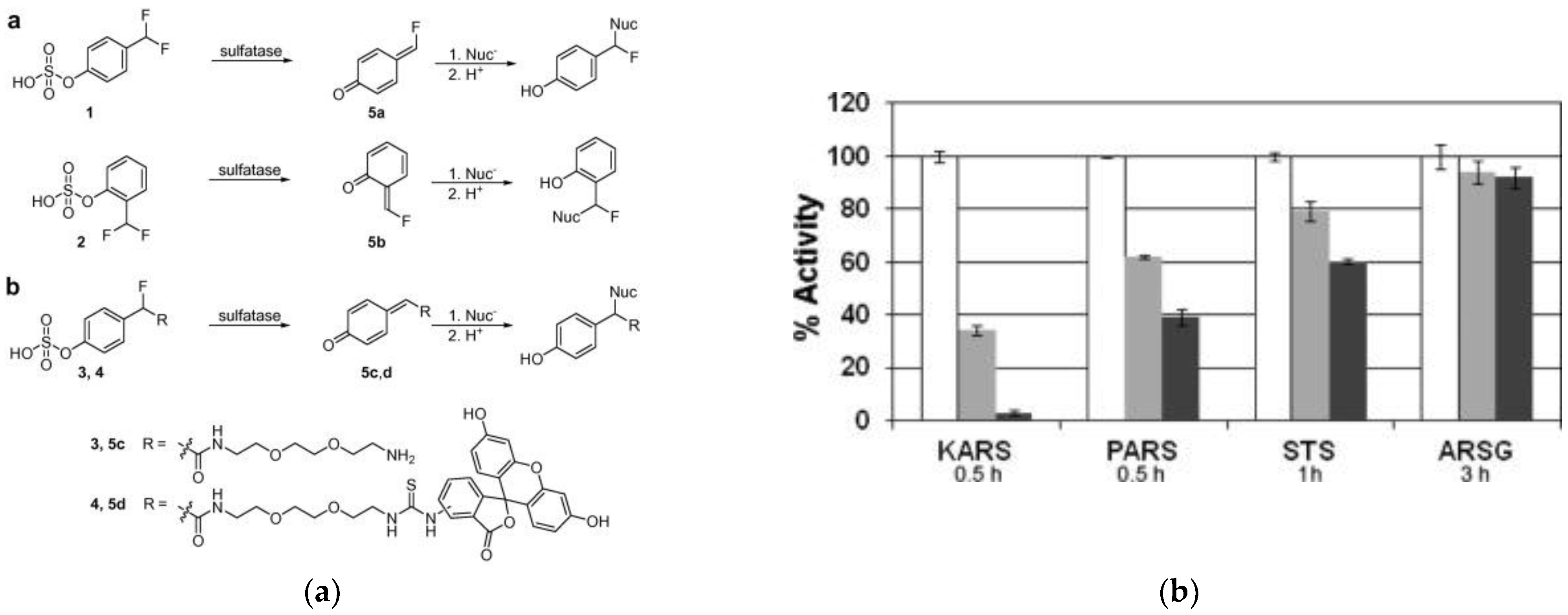 Chemosensors 11 00155 g017