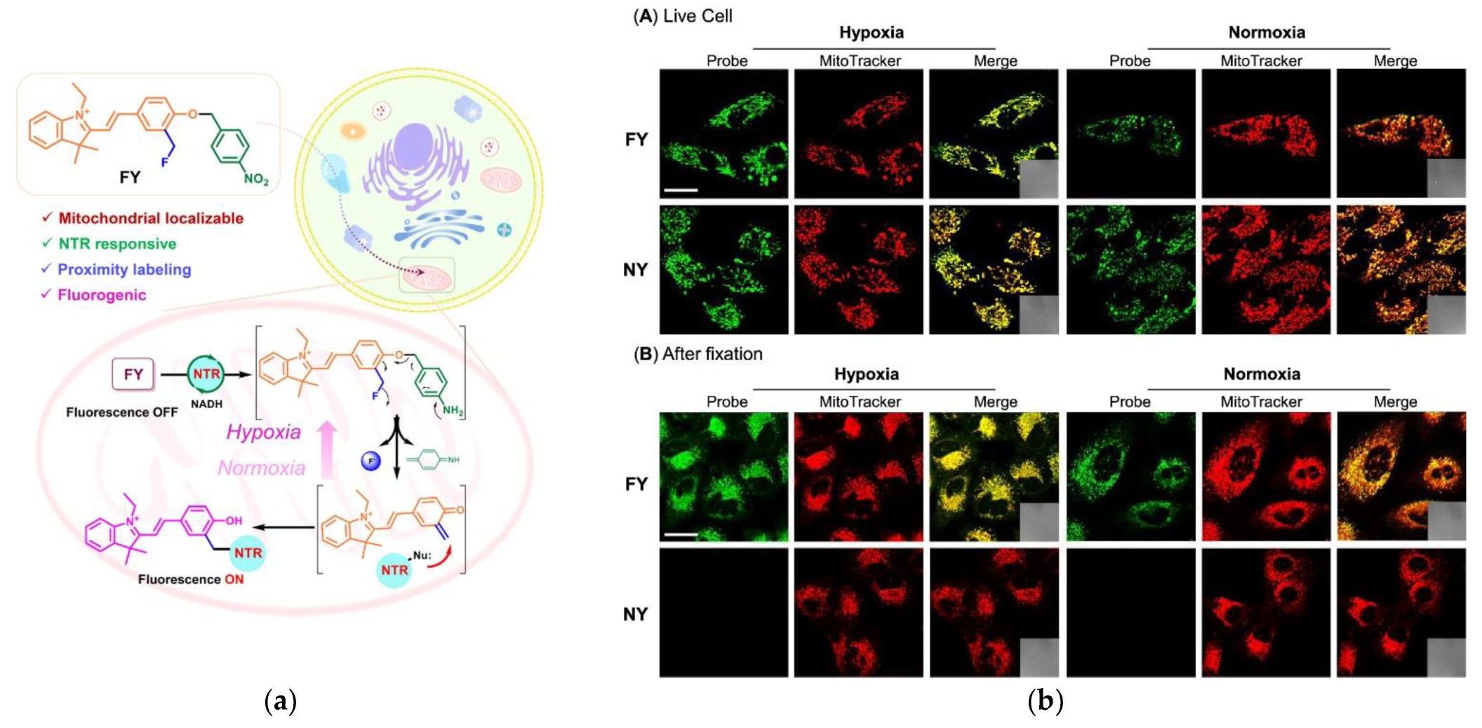 Chemosensors 11 00155 g019