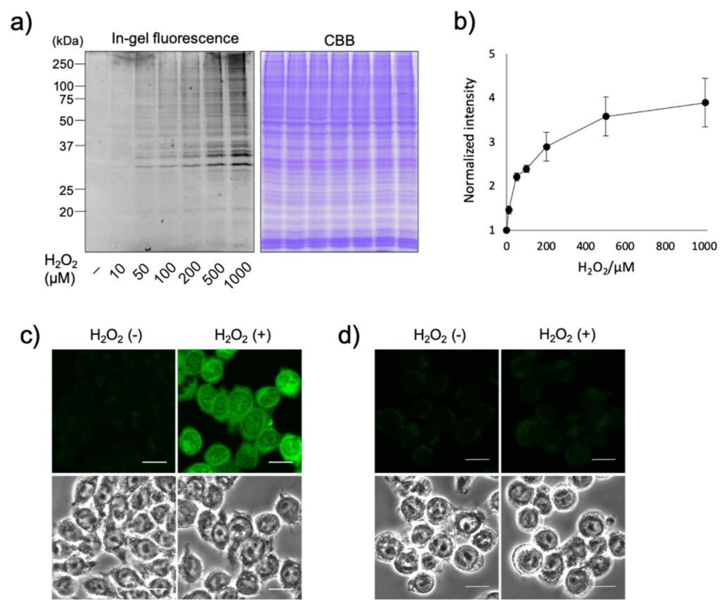 Chemosensors 11 00155 g020